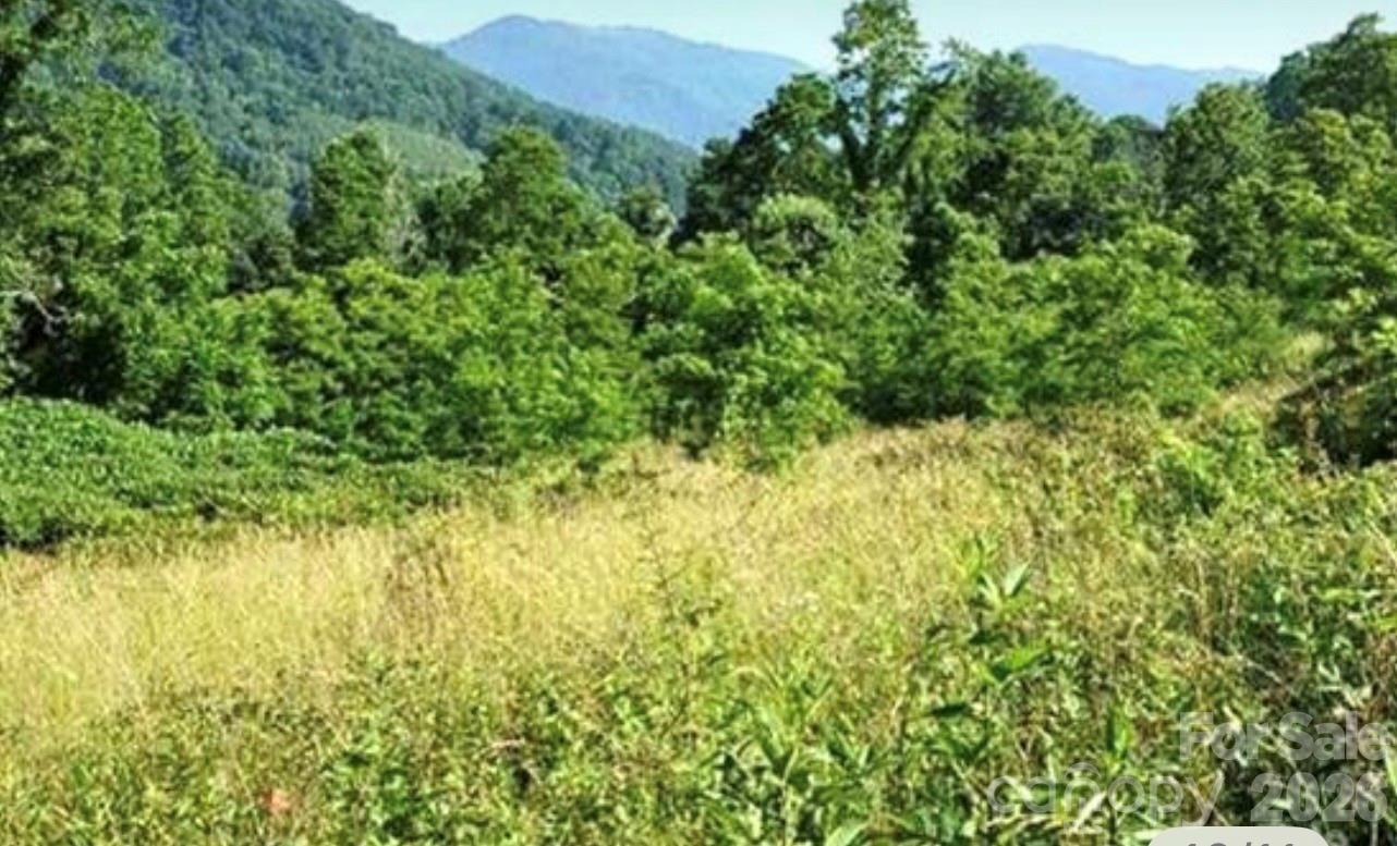 Split Pine Estates - Land