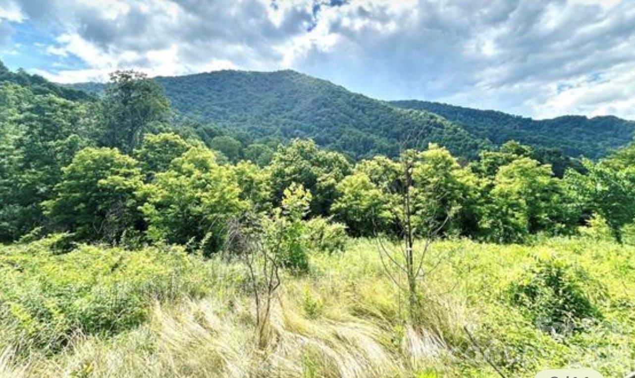 Split Pine Estates - Land
