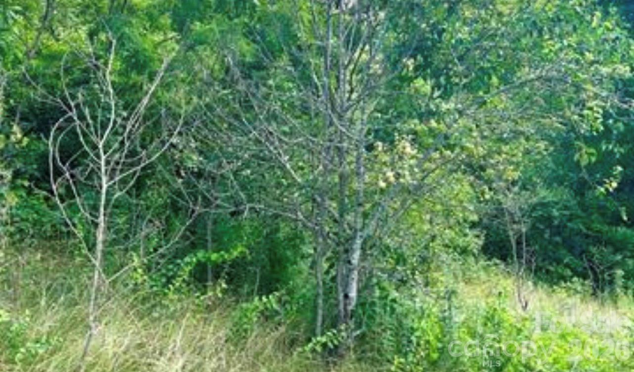 Split Pine Estates - Land