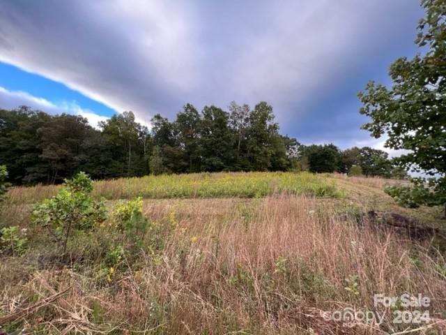 Located in the The Meadows this parcel is close to the pool. It has 3.59 acres and includes land on both sides of Stow Away. It is the cleared lot at the left corner of Eastridge Dr.  Very nice parcel with Nice mountain views.  Located in the back section of The Meadows.  Gate code needed