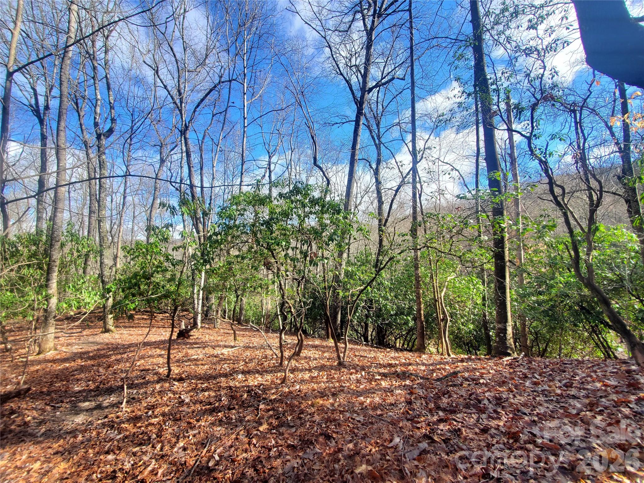 Looking for the perfect acreage to build your Western North Carolina dream home? Located in the sought-after Glen Cannon community, Lots 803a & 803b combine to offer over 3 acres of wooded privacy, gently sloping topography, and a natural small stream. Unlike many mountain properties, these lots are incredibly easy to walk, allowing buyers to easily visualize the immense potential of the land.

These two easy-to-build sites have not been combined, giving you endless options for layout and design. Lot 803b is tucked privately behind the mountain laurel of 803a, featuring a nearly level build site with sweeping winter views. This is an unparalleled opportunity for a custom forever home or premium mountain re