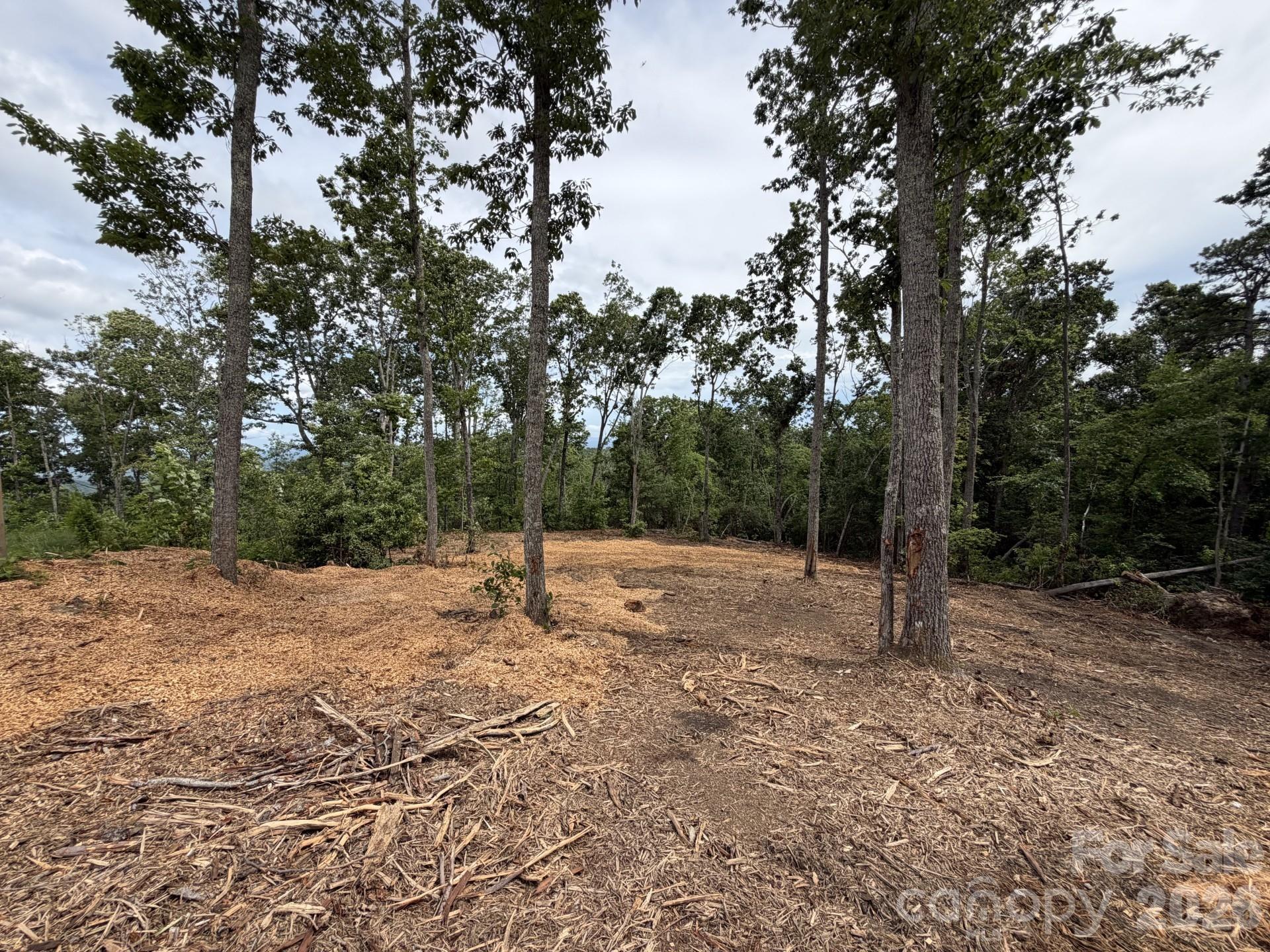 Welcome to one of the largest and unique properties in Couch Mountain. This 2.81-acre property offers end-of-the-street privacy and borders the community conservation land. Go out your back door to access the community trail system and walk along the creek to a community campsite. In addition to all these incredible features, the property offers a large and gentle area to build a home. Couch Mountain is a low-density, environmentally conscious community offering a 100-acre nature preserve, walking trails, a neighborhood park, gardens and apiaries. Couch Mountain strongly encourages green building techniques, renewable energy resources, backyard farming and native landscapes.