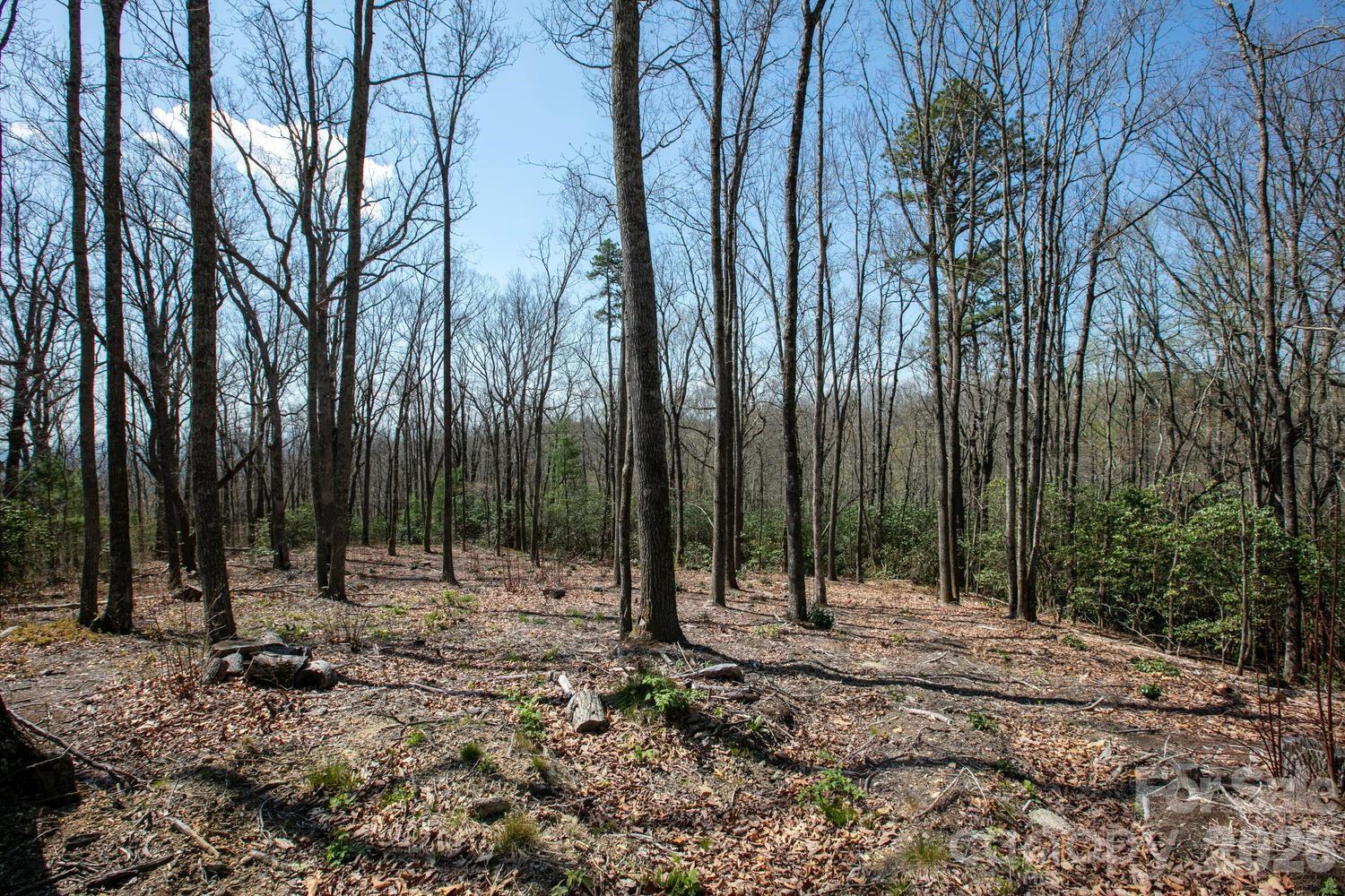 Welcome to one of the largest and unique properties in Couch Mountain. This 2.81-acre property offers end-of-the-street privacy and borders the community conservation land. Go out your back door to access the community trail system and walk along the creek to a community campsite. In addition to all these incredible features, the property offers a large and gentle area to build a home. Couch Mountain is a low-density, environmentally conscious community offering a 100-acre nature preserve, walking trails, a neighborhood park, gardens and apiaries. Couch Mountain strongly encourages green building techniques, renewable energy resources, backyard farming and native landscapes.