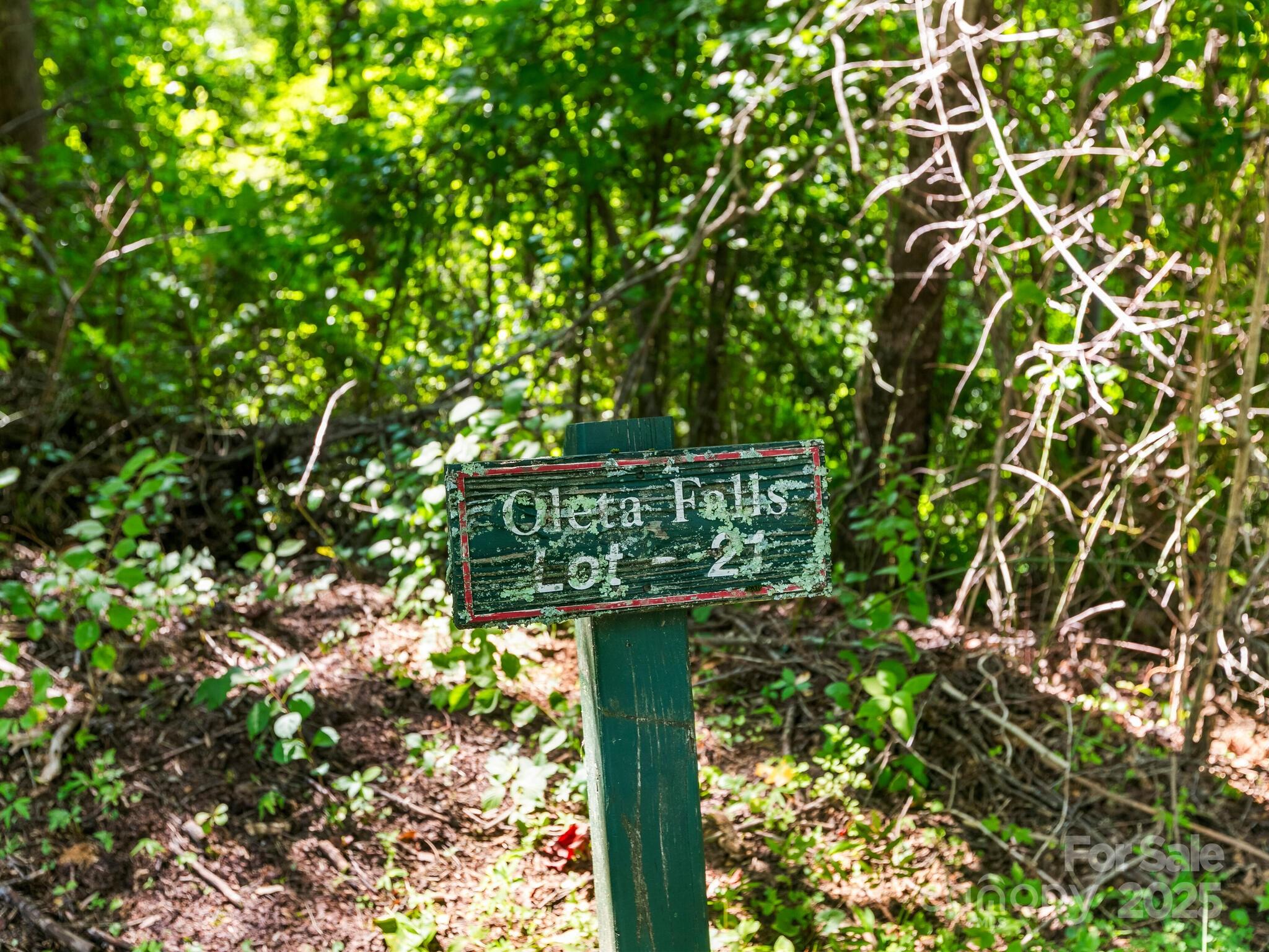 Oleta Falls - Land