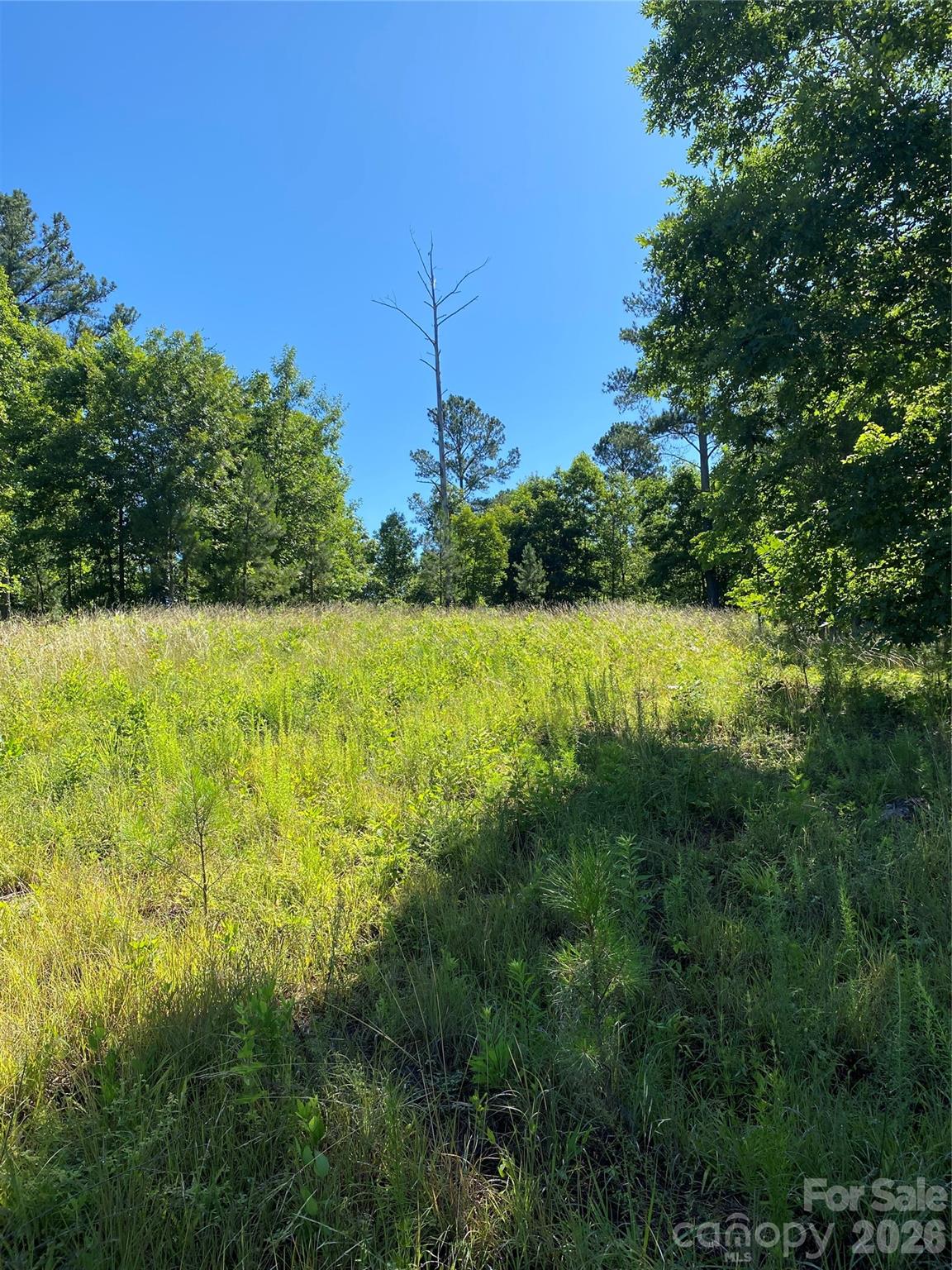 Island Pointe at Lake Vistas - Land