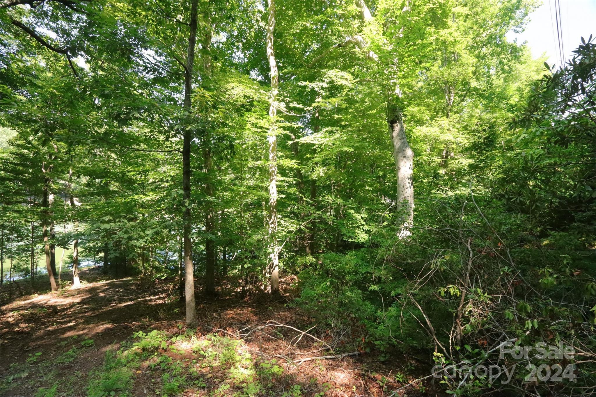 Rumbling Bald on Lake Lure - Land