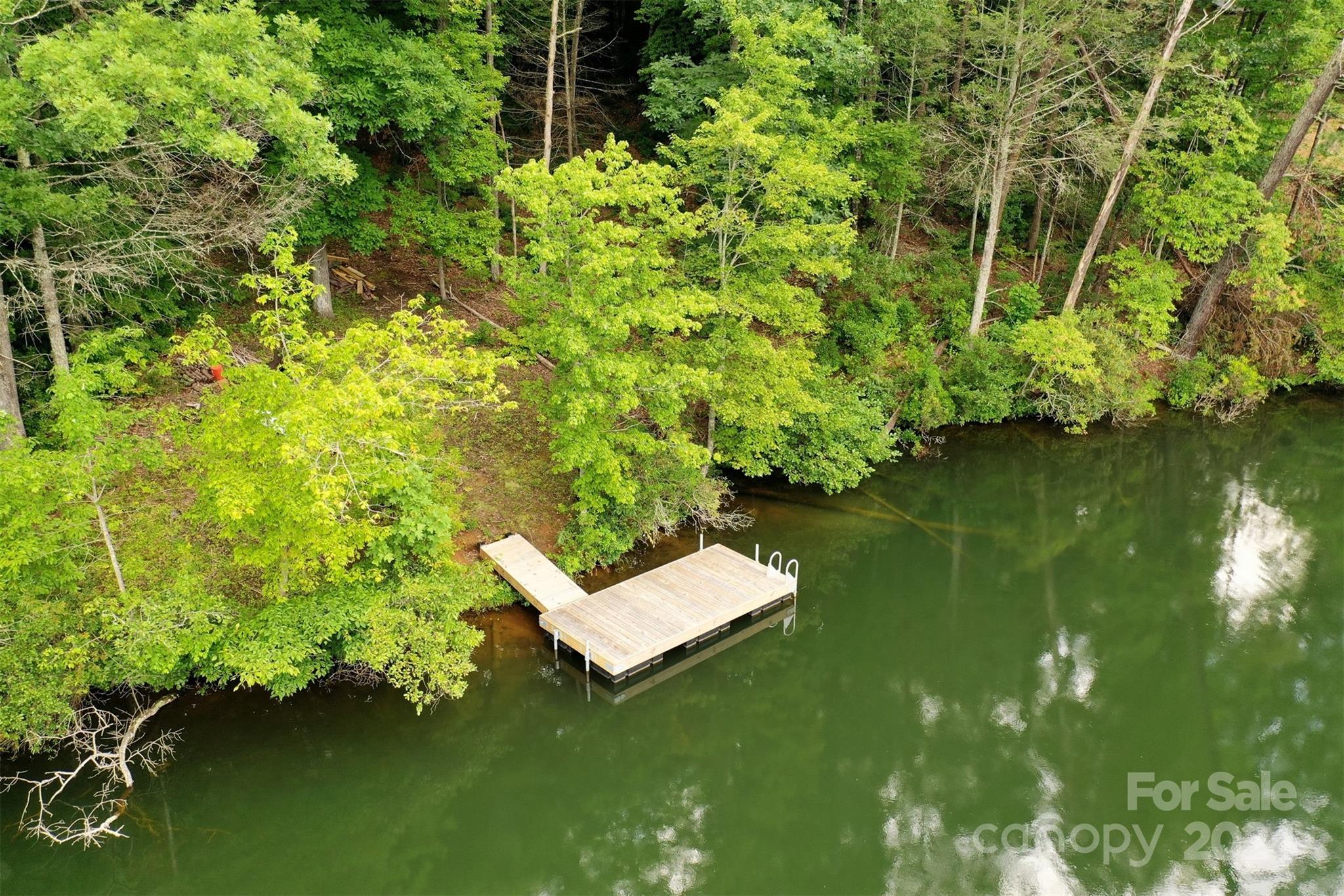 Rumbling Bald on Lake Lure - Land