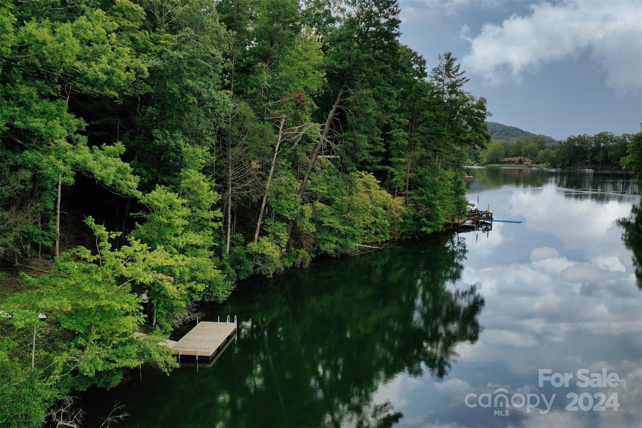 Rumbling Bald on Lake Lure - Land