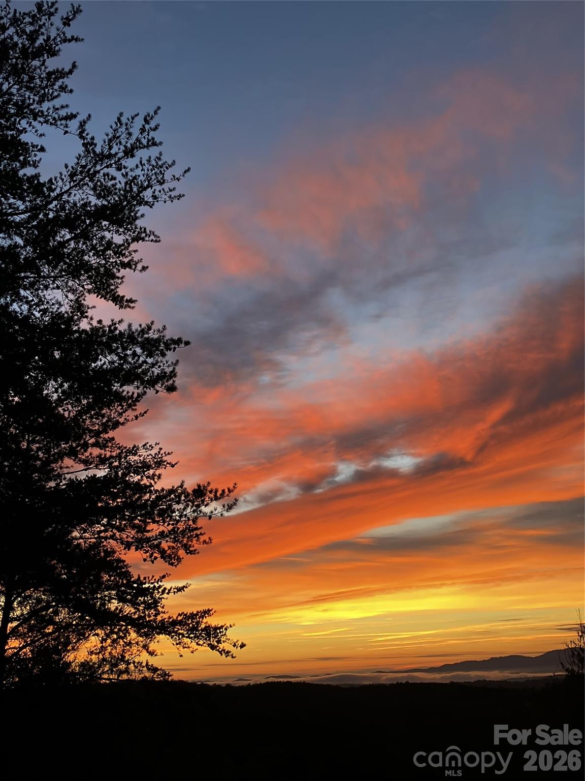 Pisgah Preserve - Residential