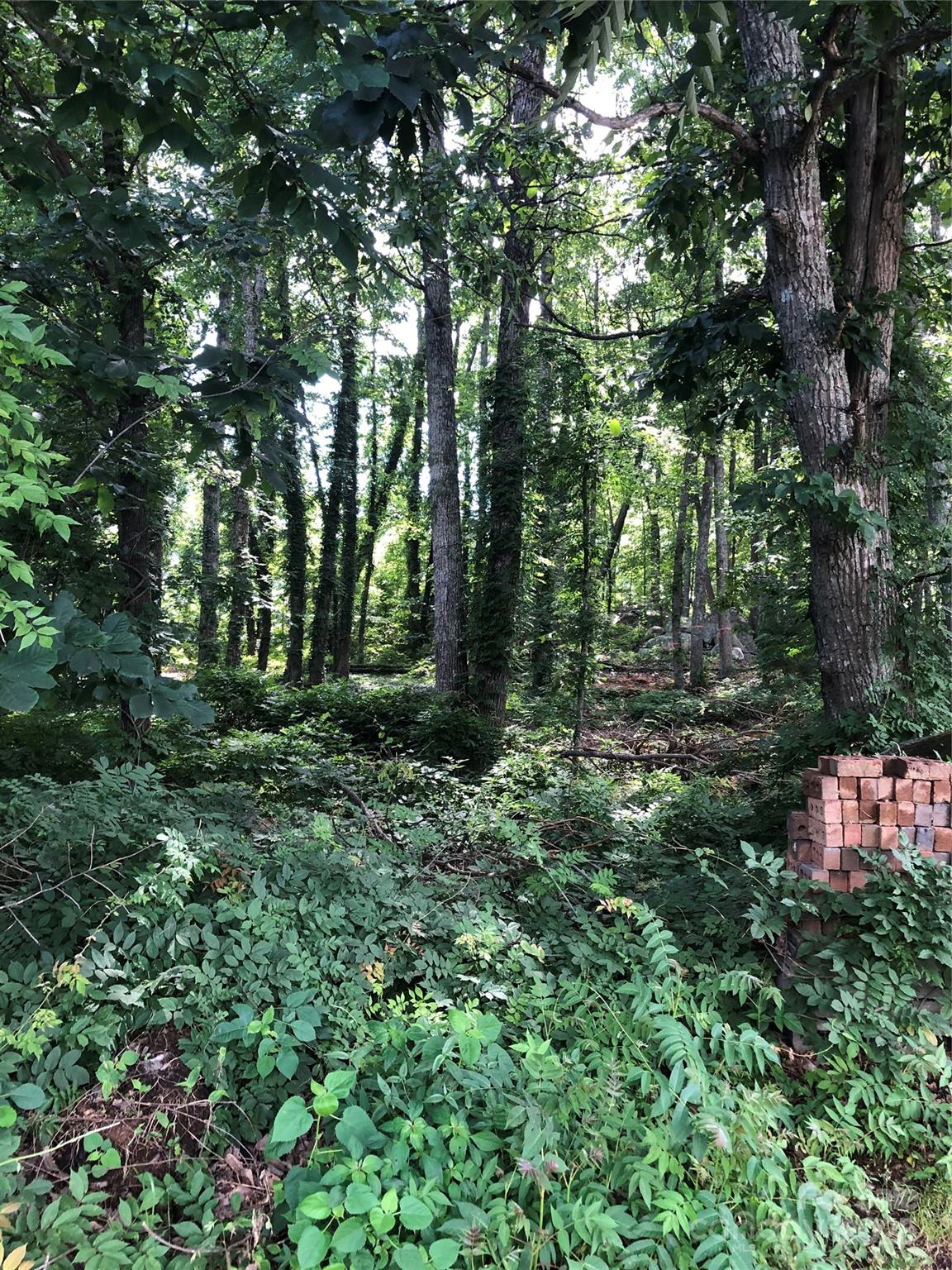 Lots 6 & 7 have been combined and are needed to be as one for building purposes.  Wooded lot with views of Uwharrie Mountains.  Main level must have 1800sf and exterior construction is to be full brick.  The lots did perc in 2007, but a new perc test will be needed per Rowan County Environmental Health Dept.