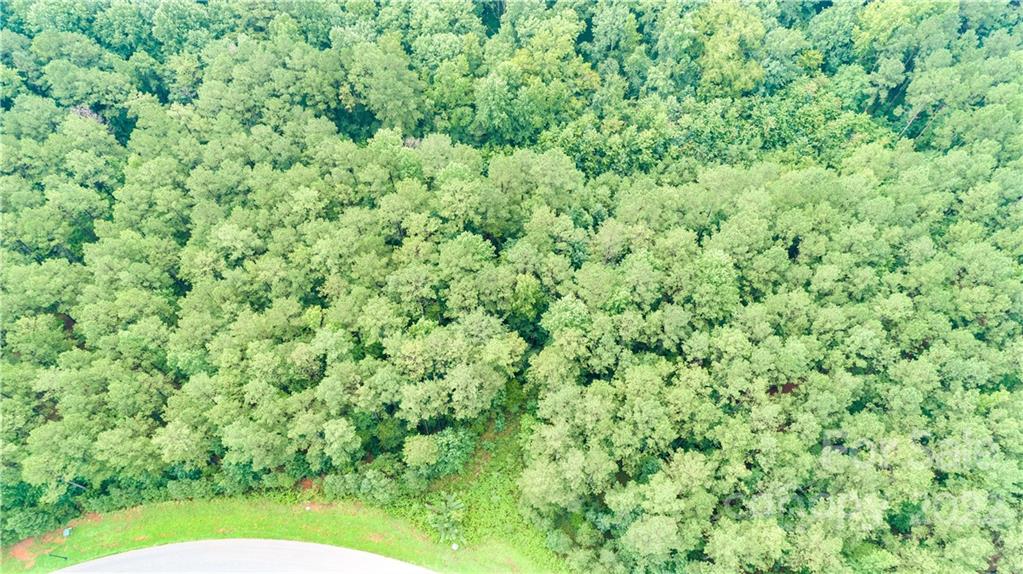 Riverchase Estates - Land