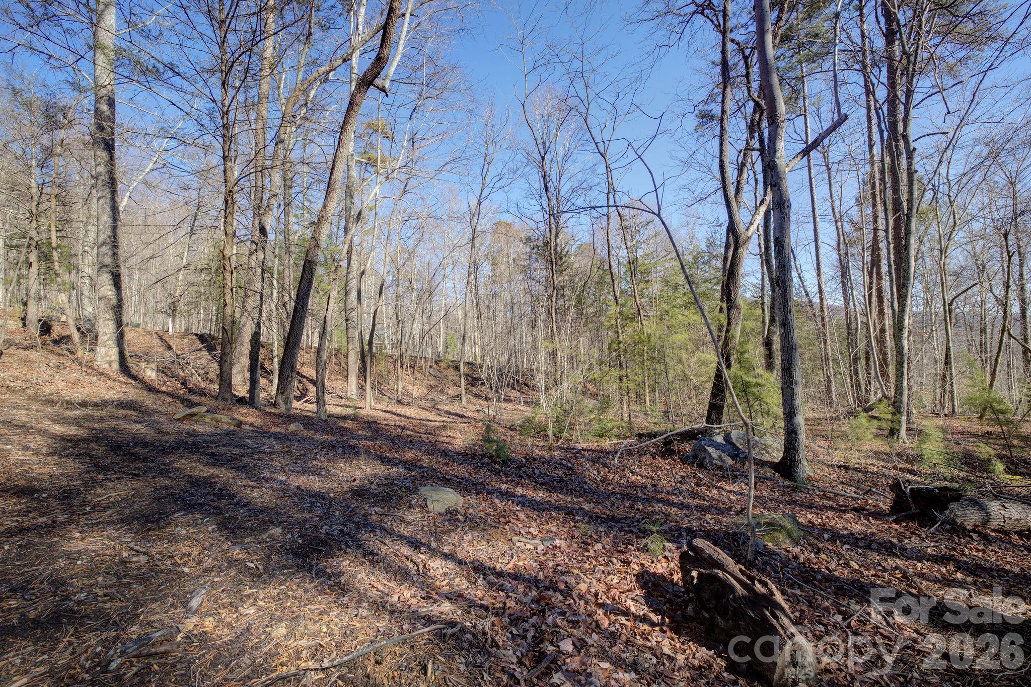 Rumbling Bald on Lake Lure - Land