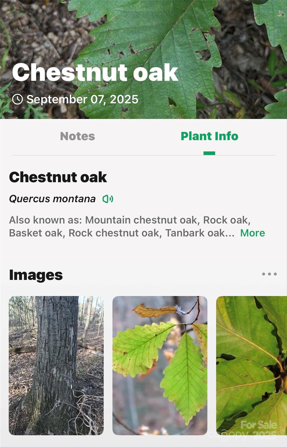 Catawba Falls Preserve - Land