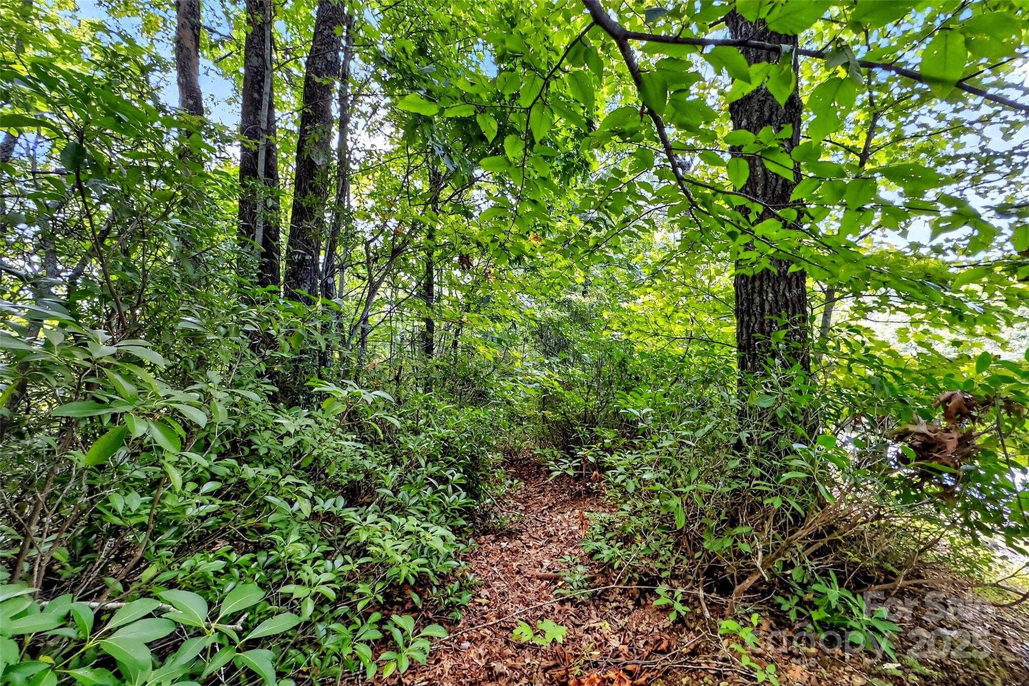 Catawba Falls Preserve - Land