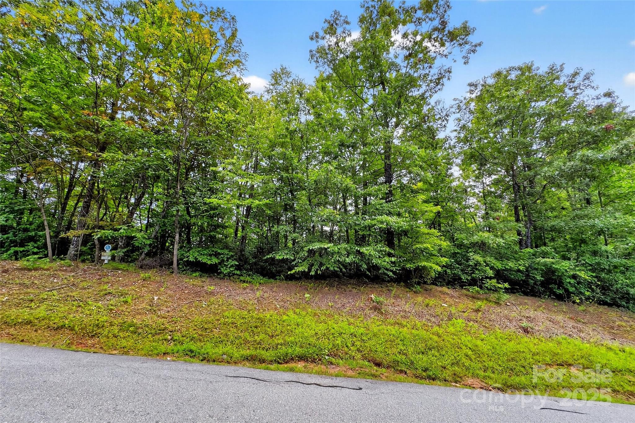 Catawba Falls Preserve - Land