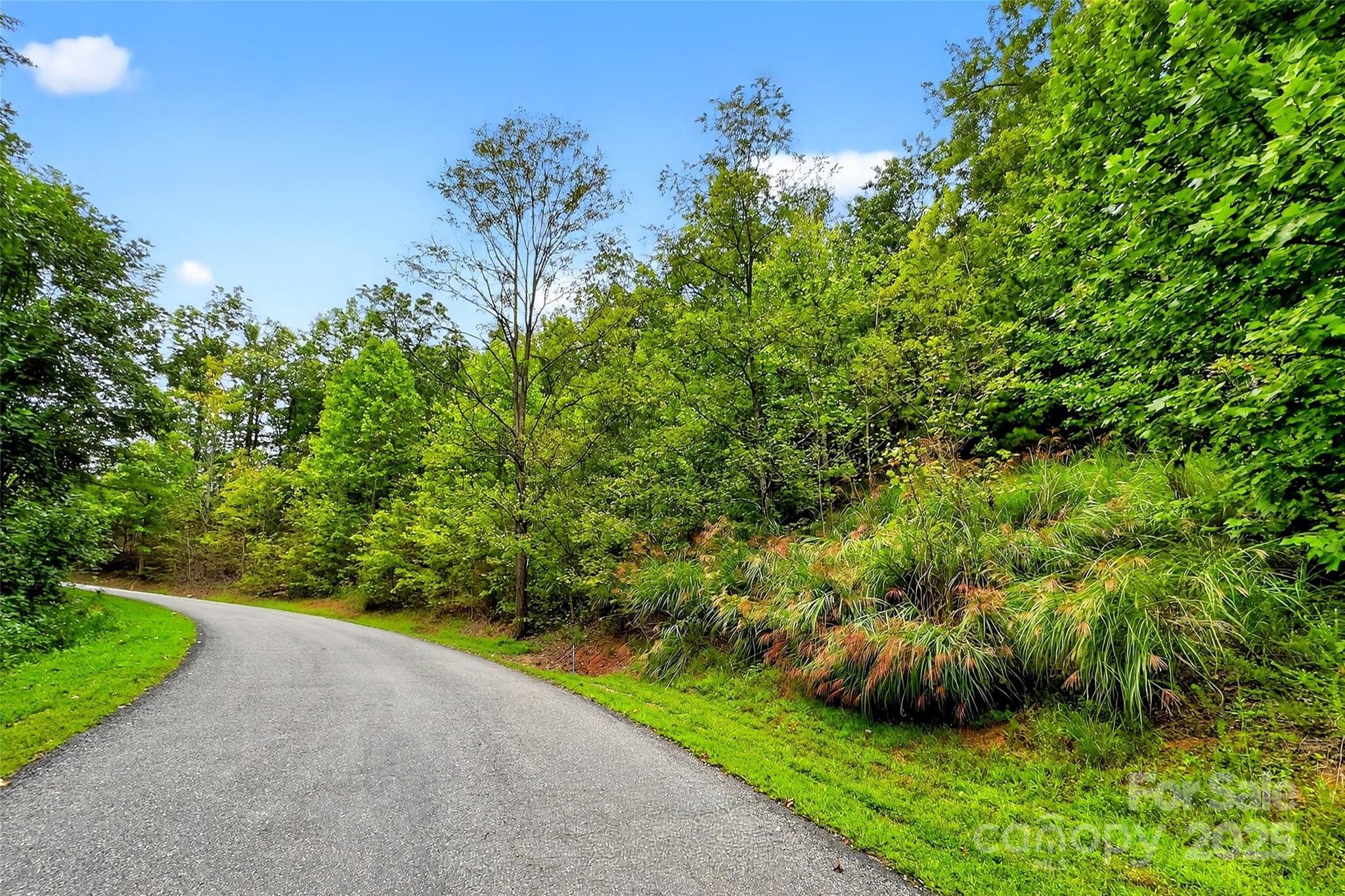 Catawba Falls Preserve - Land