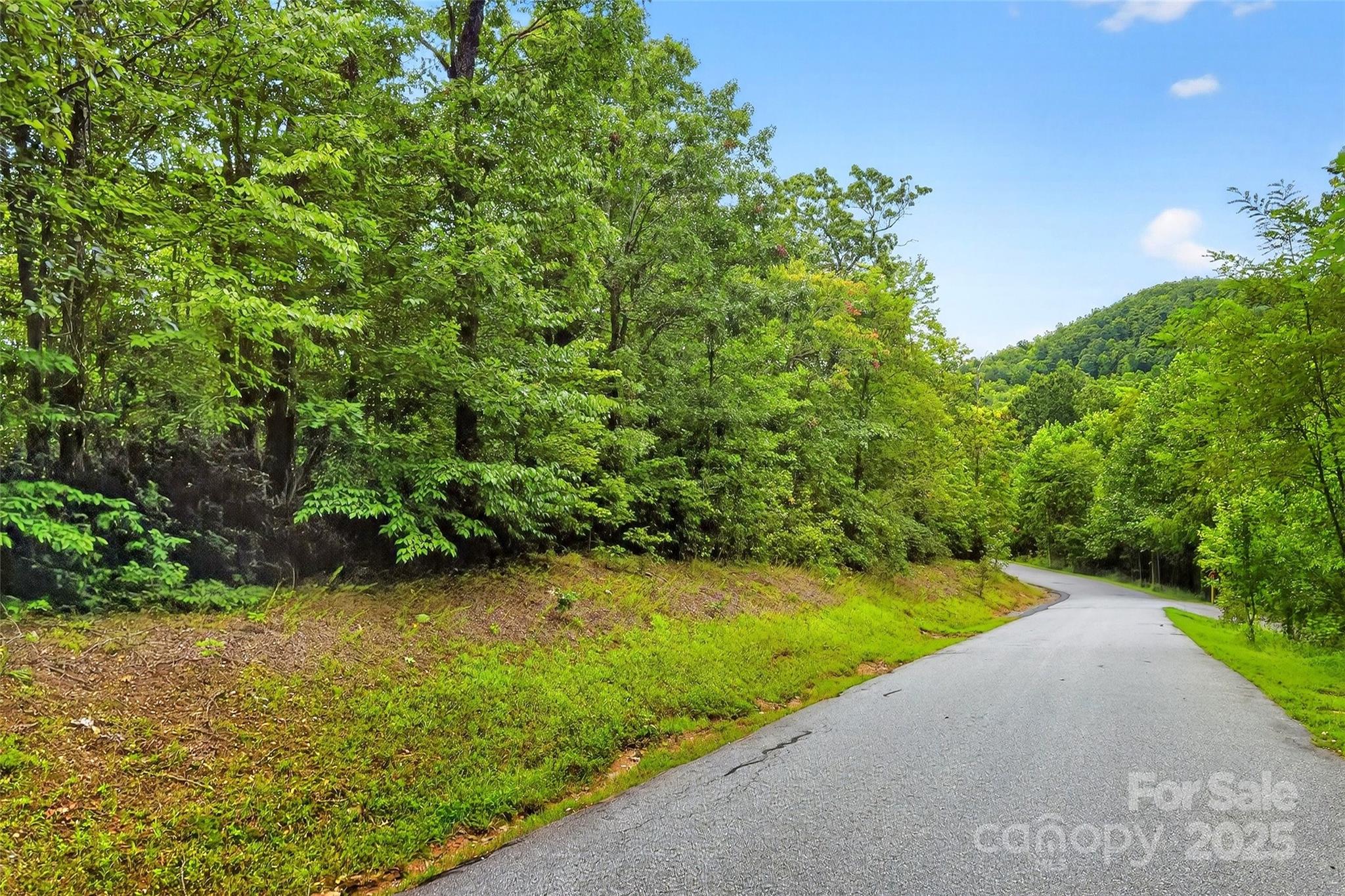 Catawba Falls Preserve - Land