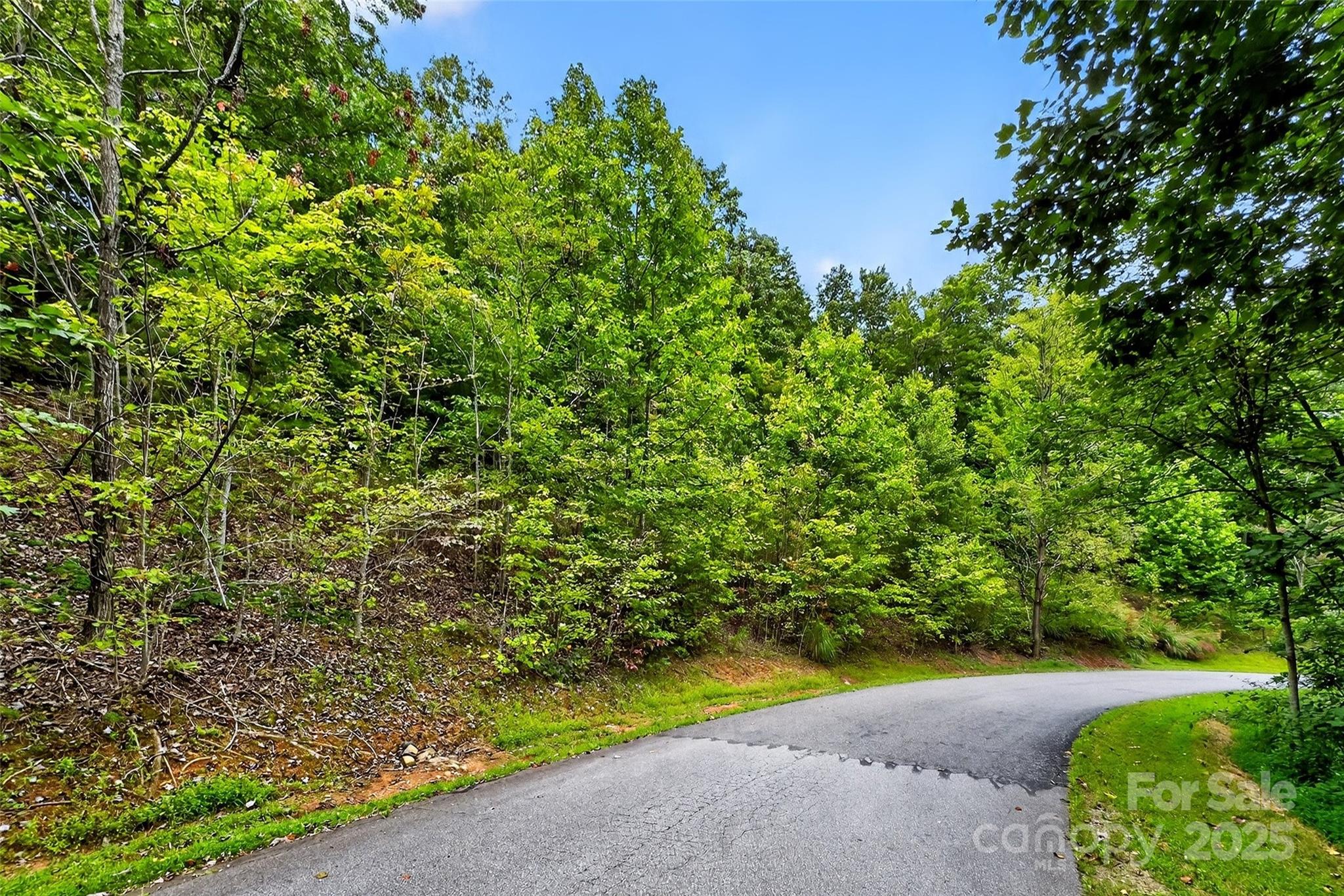 Catawba Falls Preserve - Land