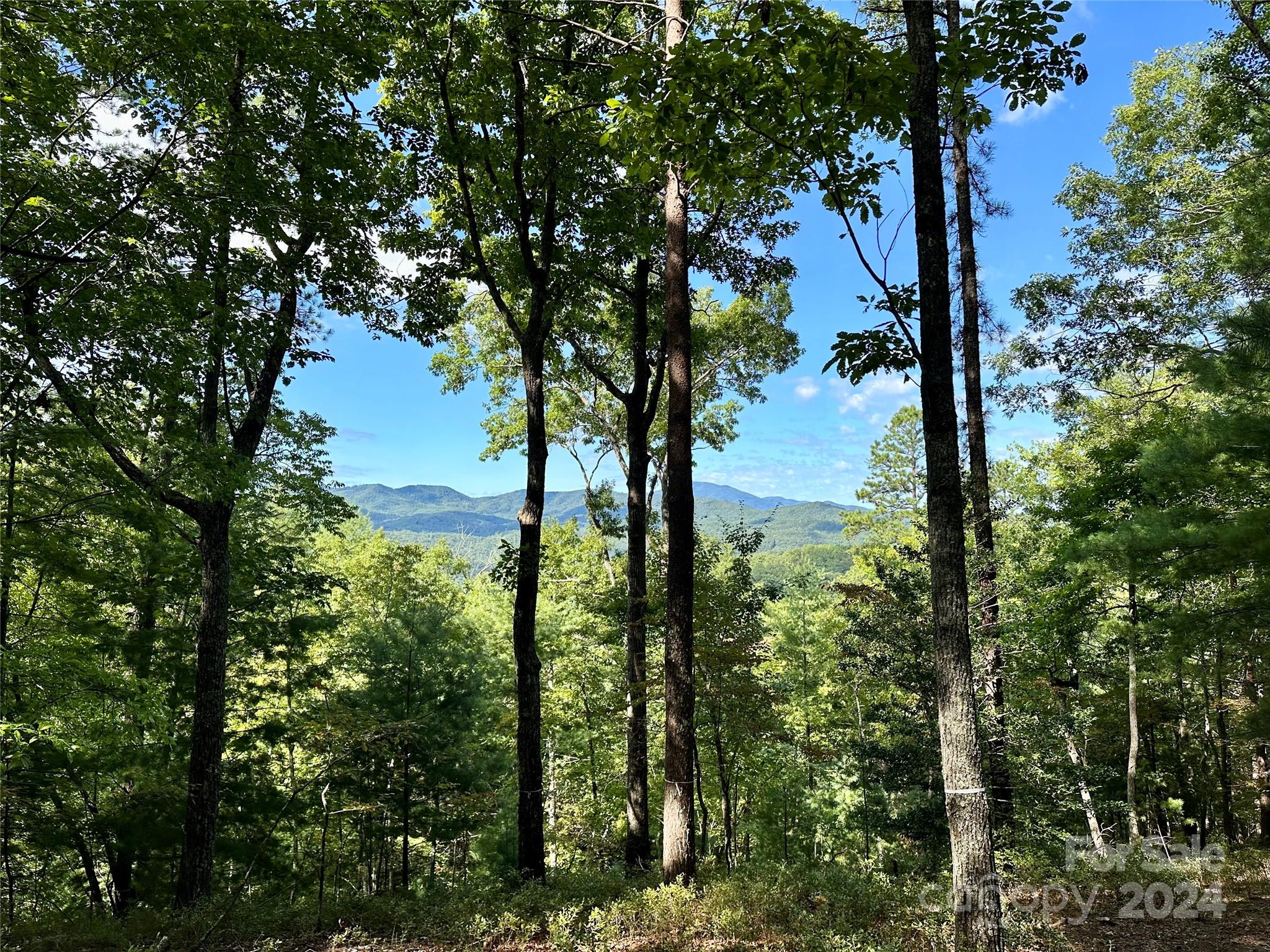 French Broad Crossing - Land
