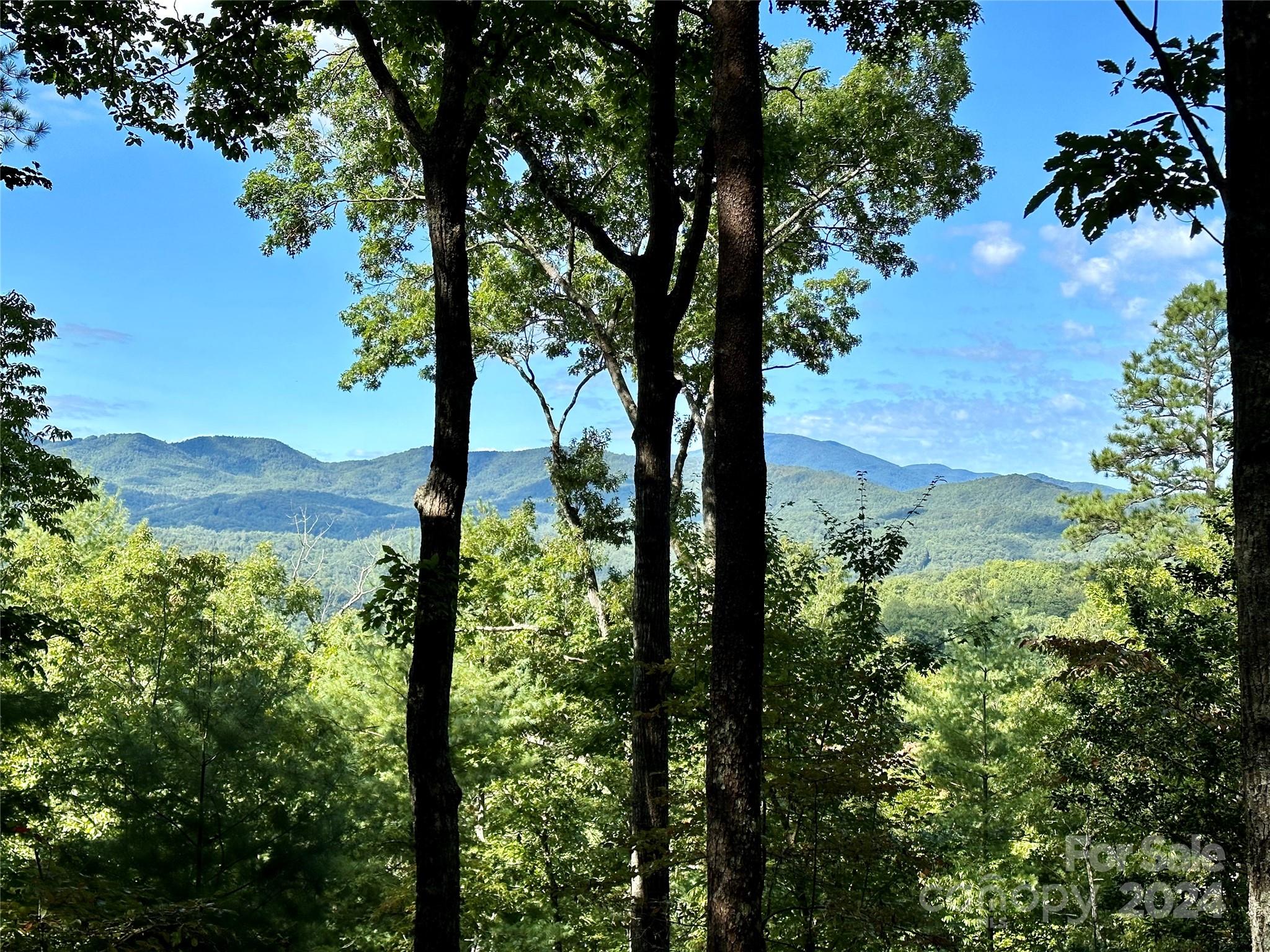 French Broad Crossing - Land