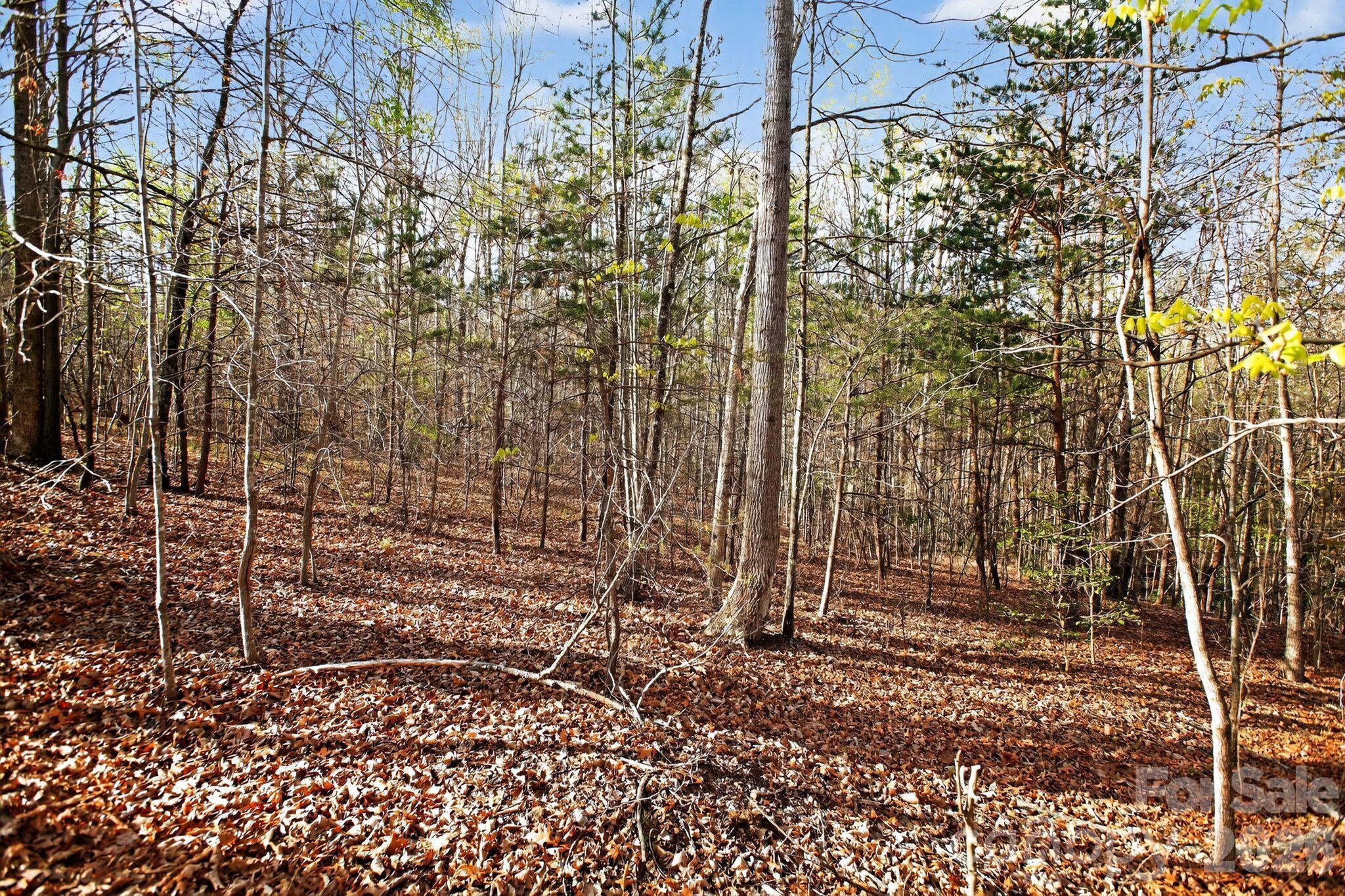 Blackberry Creek - Land
