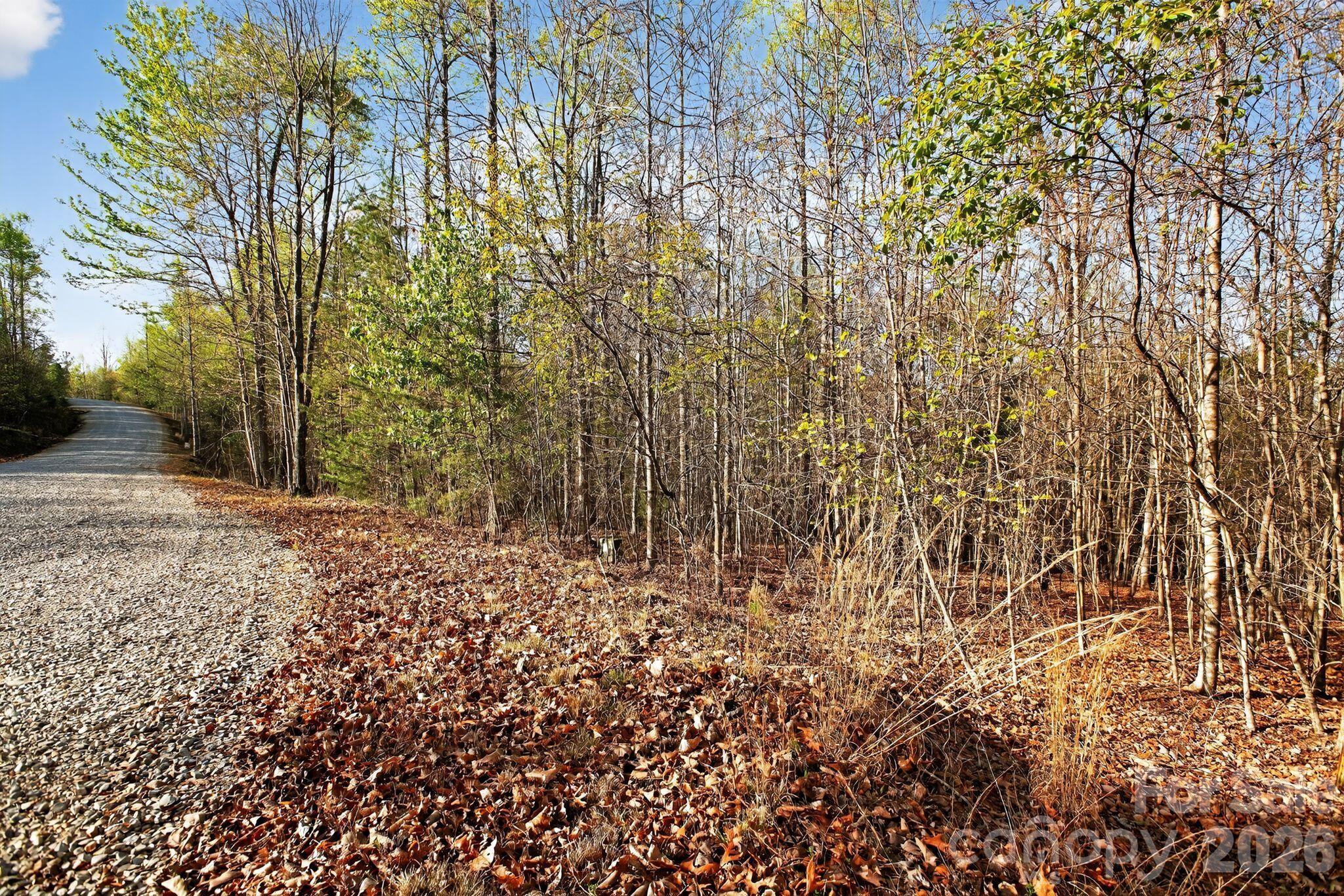 Blackberry Creek - Land