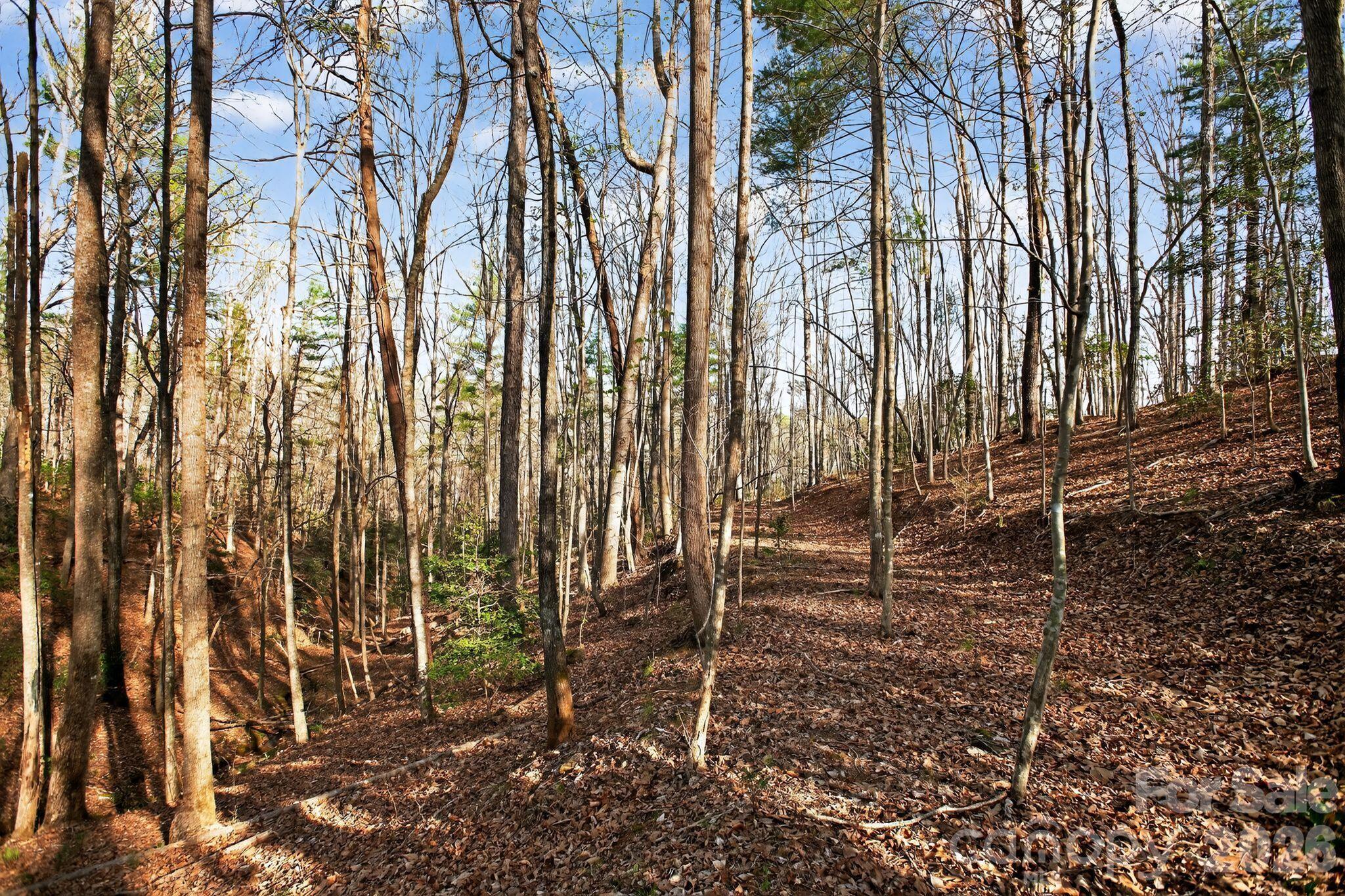 Blackberry Creek - Land