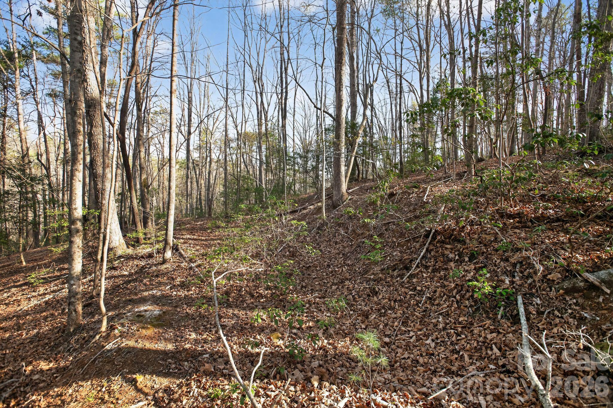 Blackberry Creek - Land