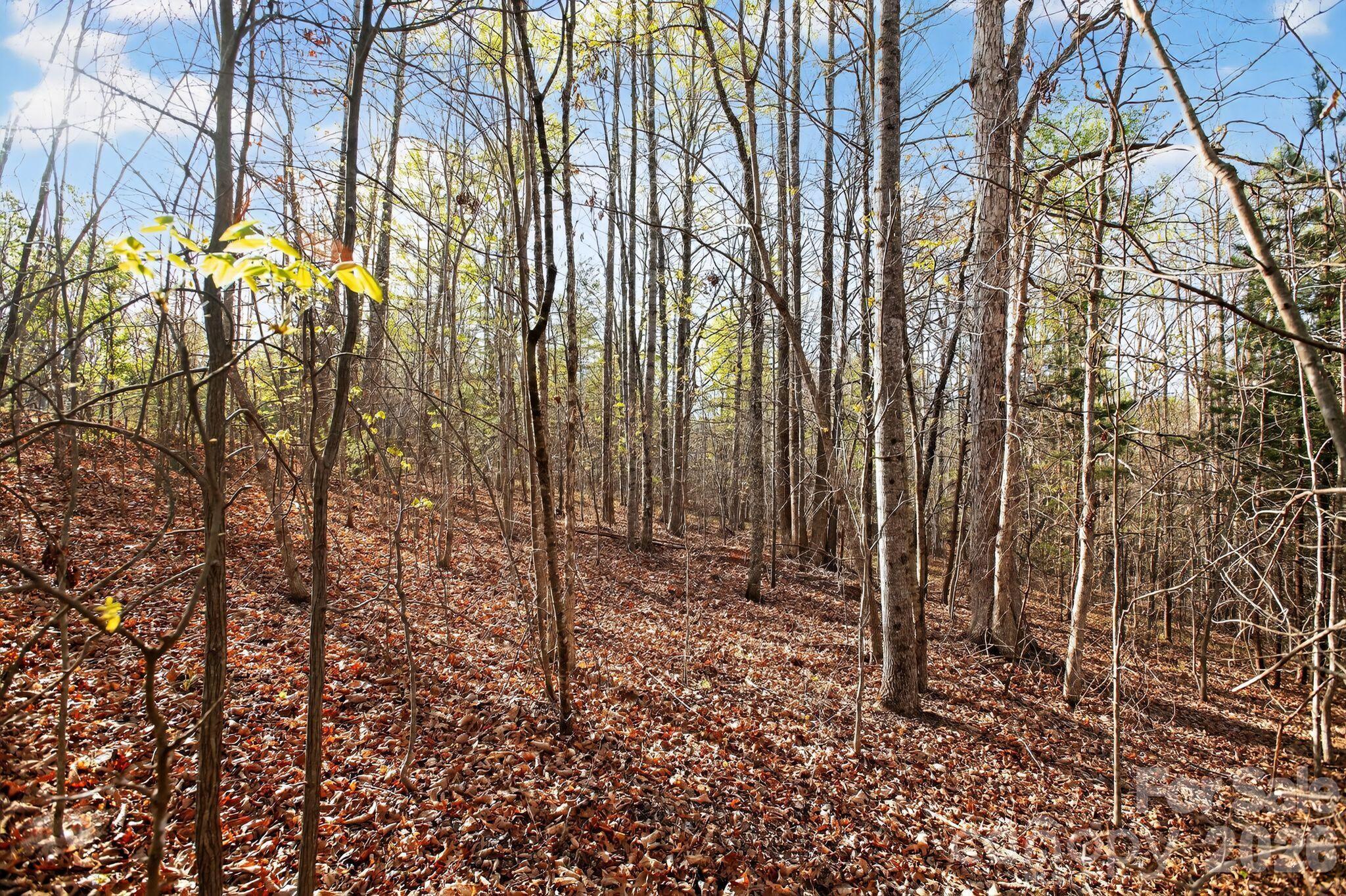 Welcome home to a lovely gated community in a beautiful lot surrounded by nature and a small creek. Build your dream log home and enjoy all that nature provides. Very close to Lake James, nature trails and all the amenities your family will need.