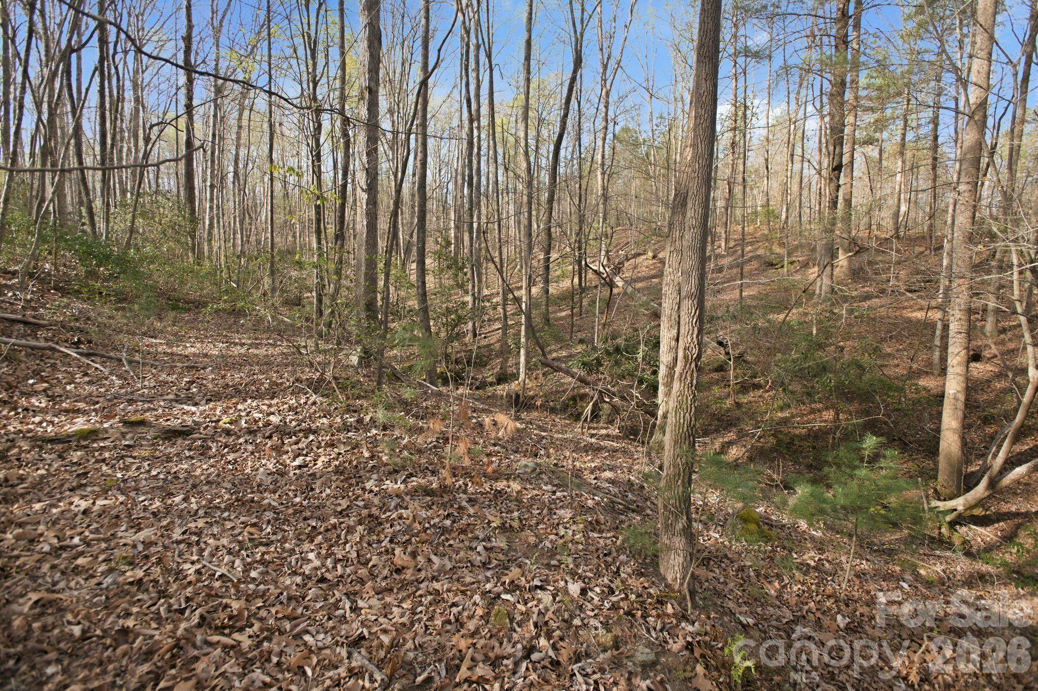 Blackberry Creek - Land
