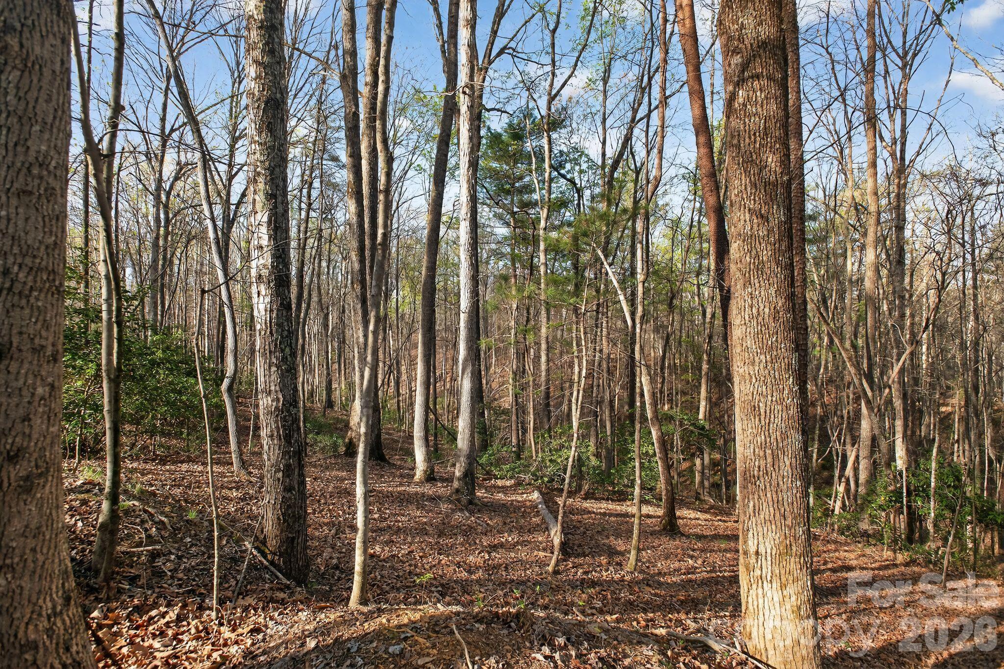 Blackberry Creek - Land