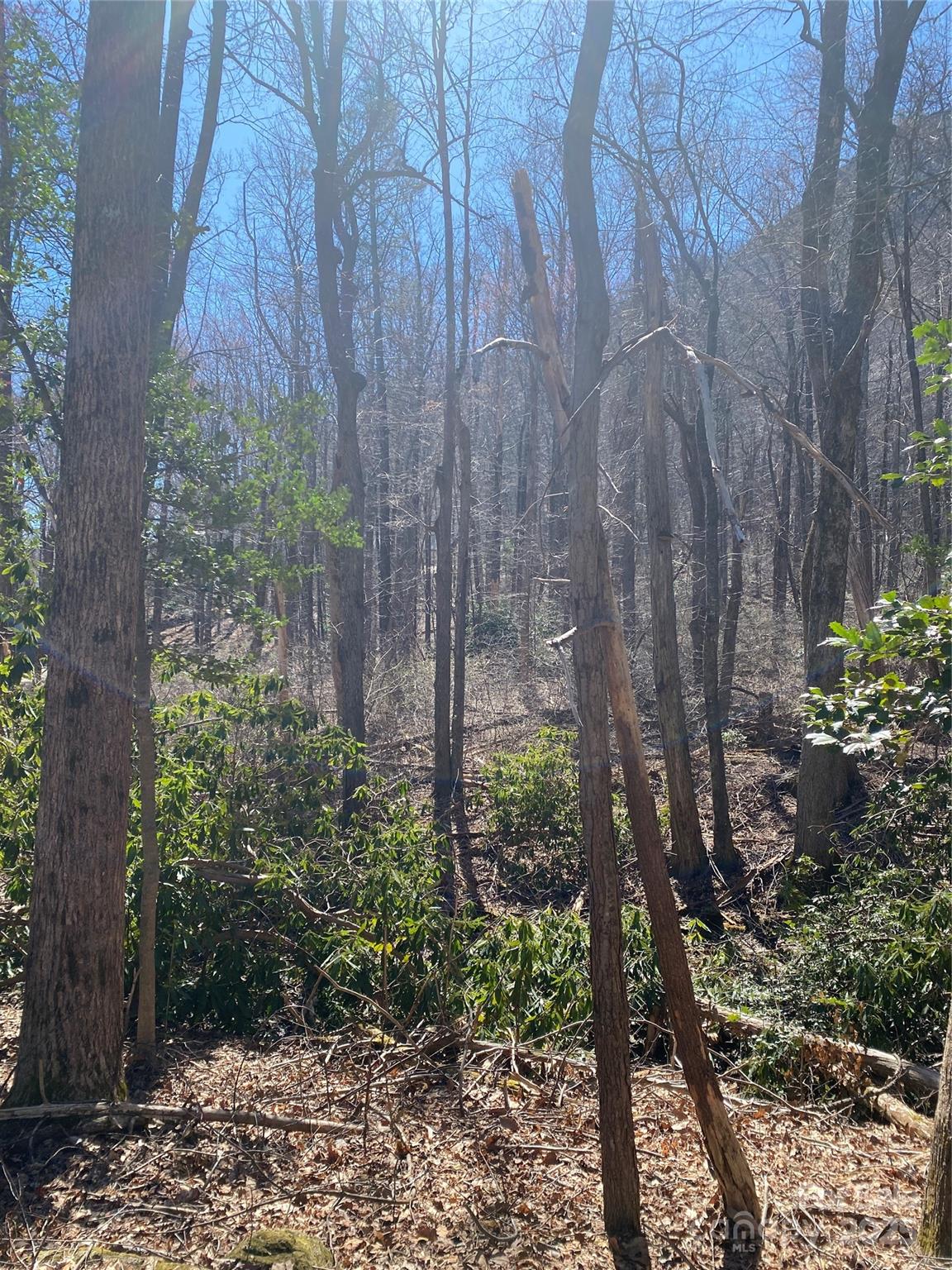 Carolina Mountains - Land