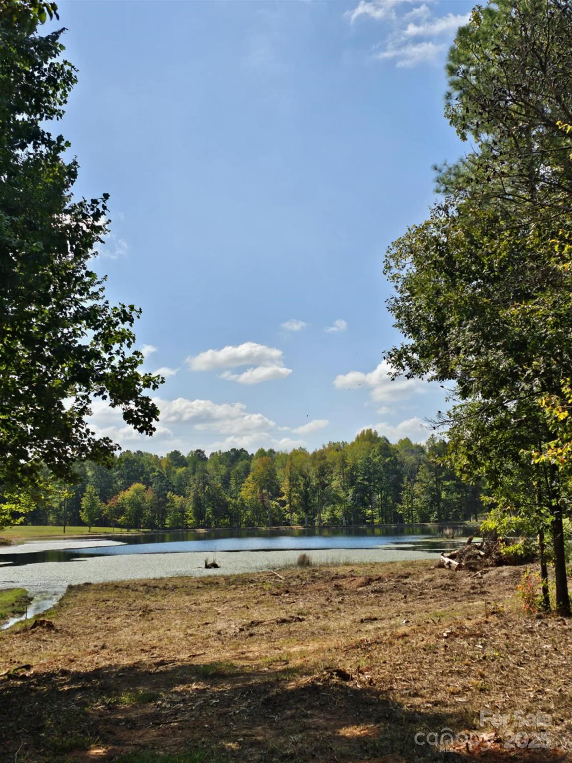 Henrys Orchard - Land