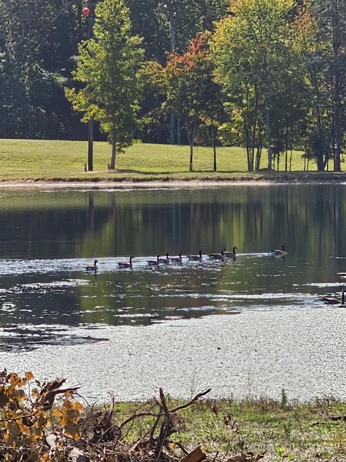 Motivated Seller.  3.2 Waterfront Acres in York County for only $100,000. Envision your Dream Home in the serene, picturesque community of Henry's Orchard where you really can get all your ducks in a row! This 3.2- acre lot, beautifully prepped by Elite Earthworks to maximize the pond view, is situated at the end of a quiet cul-de-sac and is ready for your new build. The property features access to septic sewer, city water, and utilities including gas, cable, electricity, and water—all available within the community. The lot is approved for a 3-bedroom home and requires a septic system, with a permit already in place. Water hookup is available. Conveniently located just minutes from Lake Wylie, with easy access to highways 49 and 77, only 20 minutes from Charlotte Airport. Shared pond is owned by 5 neighboring property owners, not the community. Lot cannot be subdivided, and only site-built homes are permitted. Survey available for review. USDA Eligible Address keeps more money in your pocket.