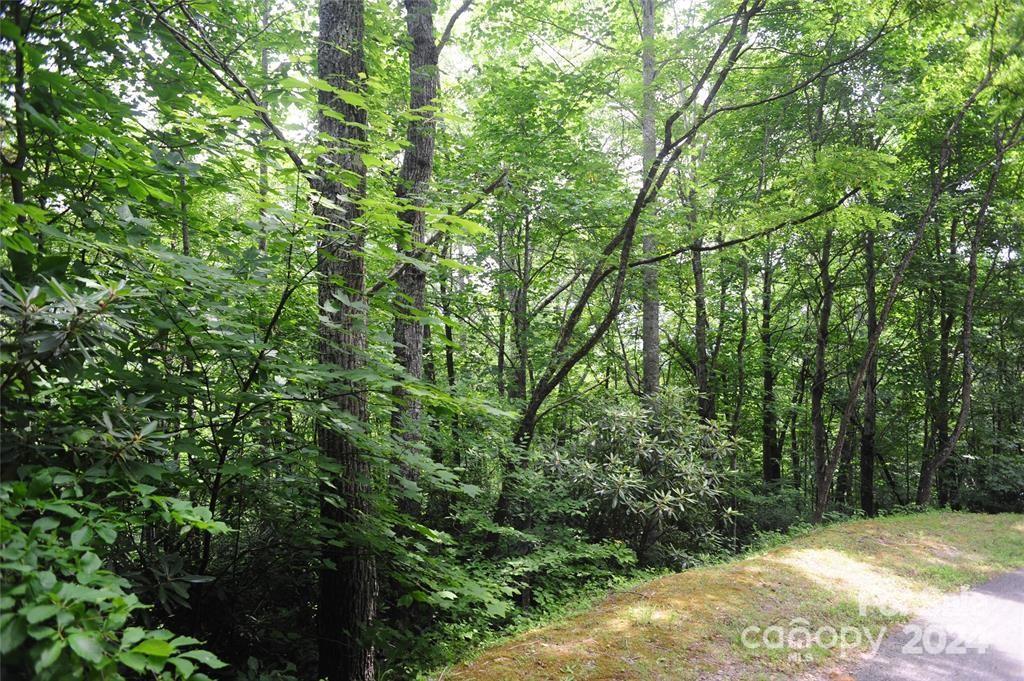 Laurel Ridge - Land