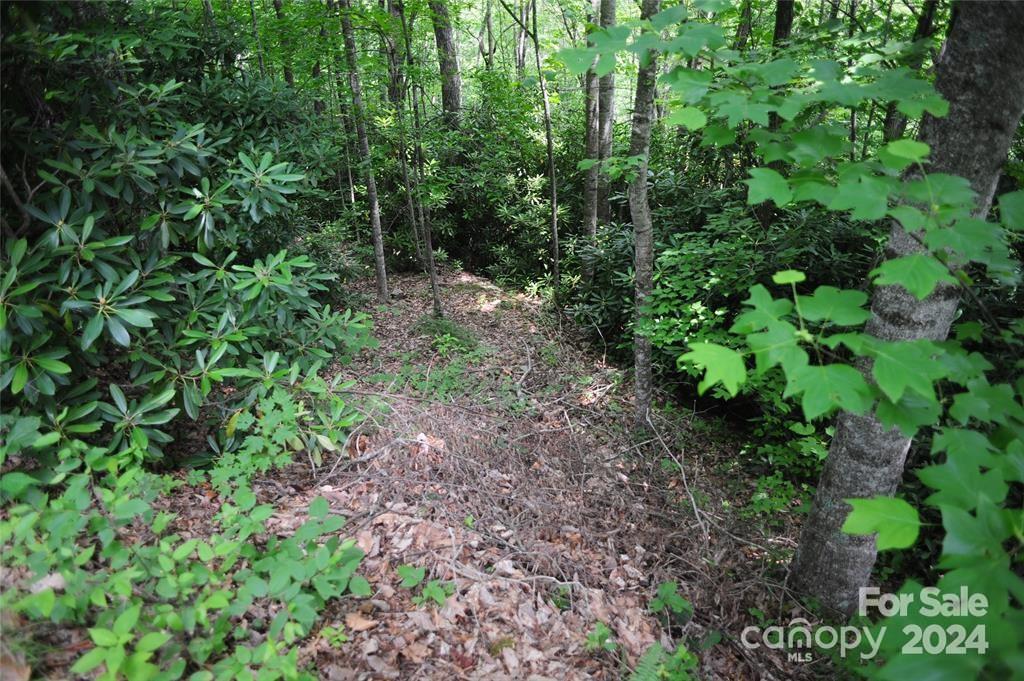 Laurel Ridge - Land