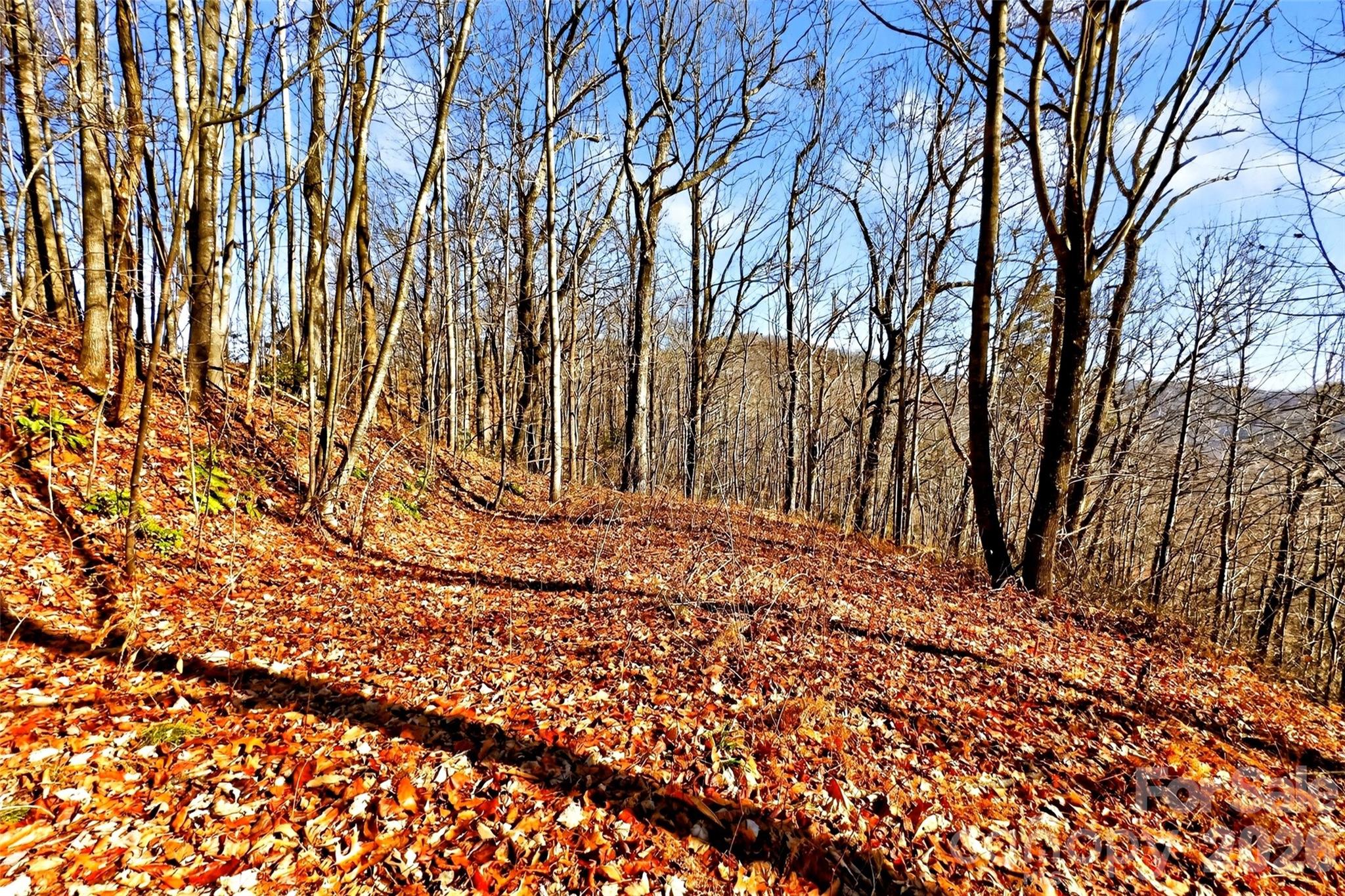 Gateway Mountain - Land