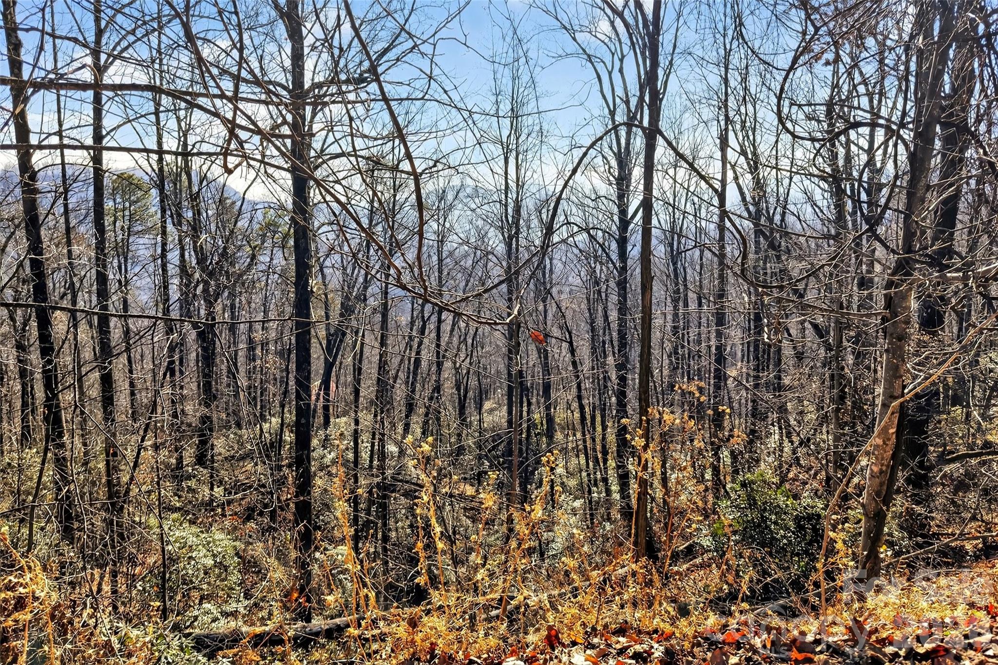 Gateway Mountain - Land
