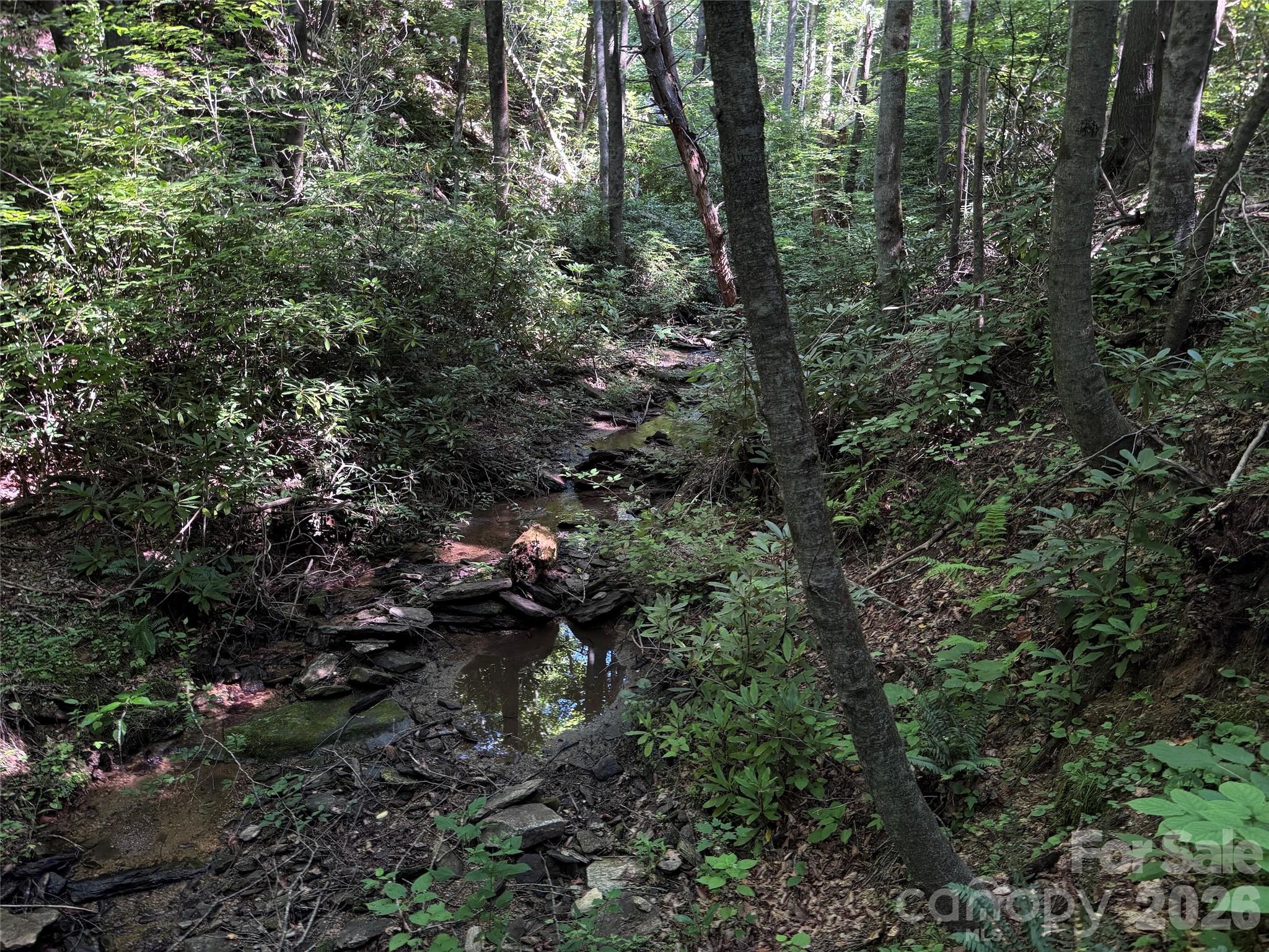 Forest Brook - Land