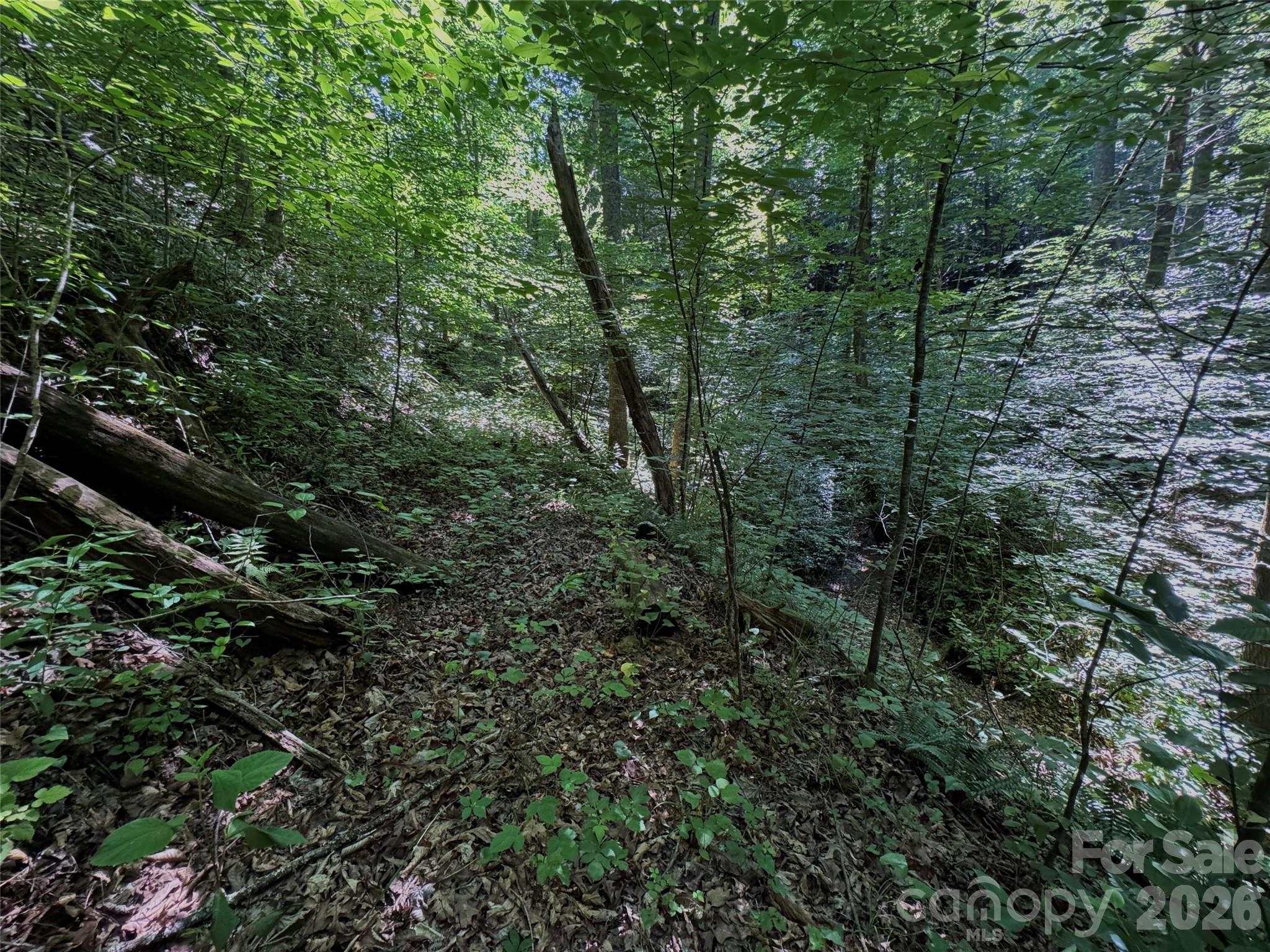 Forest Brook - Land