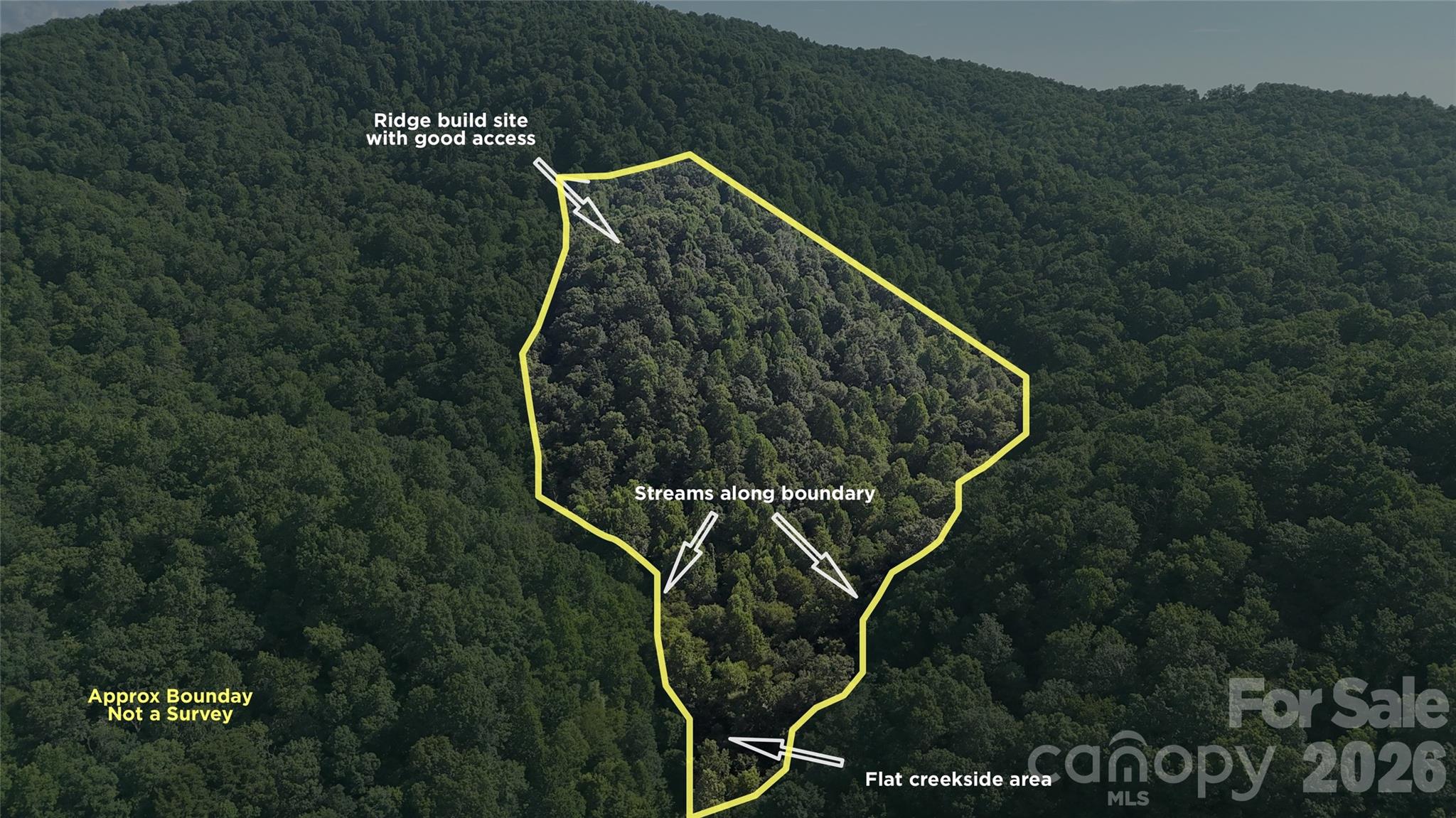 Forest Brook - Land