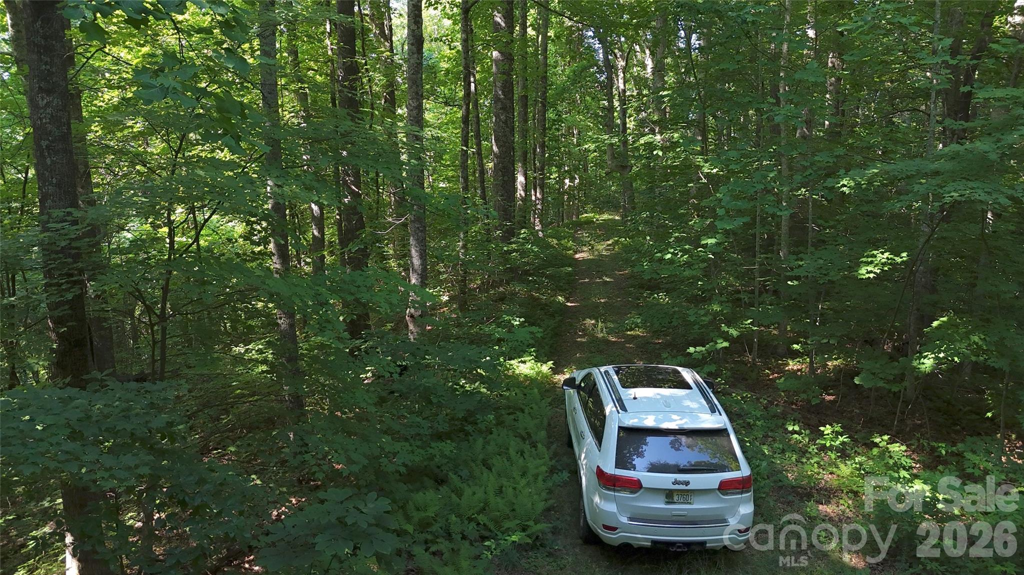 Forest Brook - Land