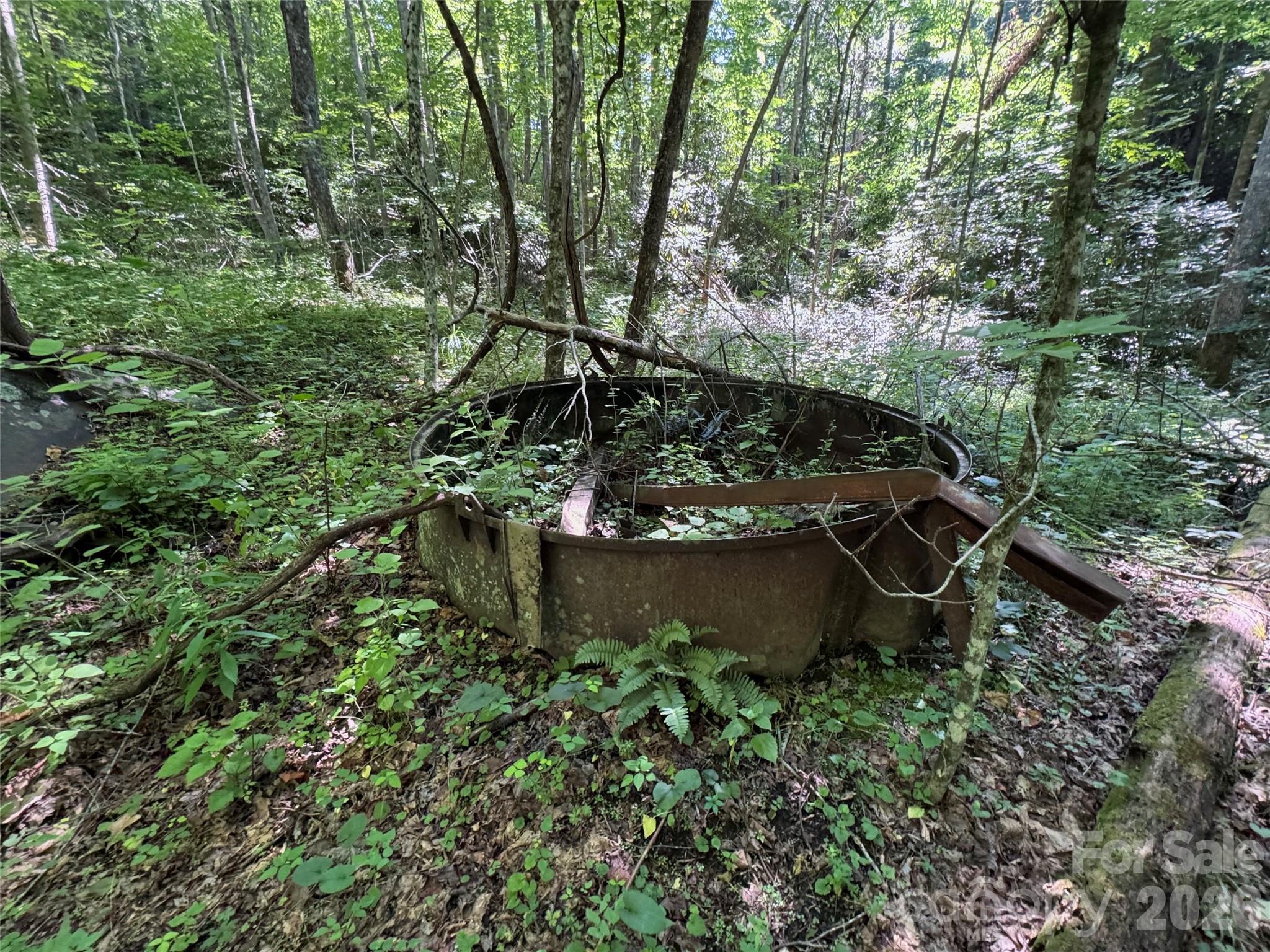 Forest Brook - Land