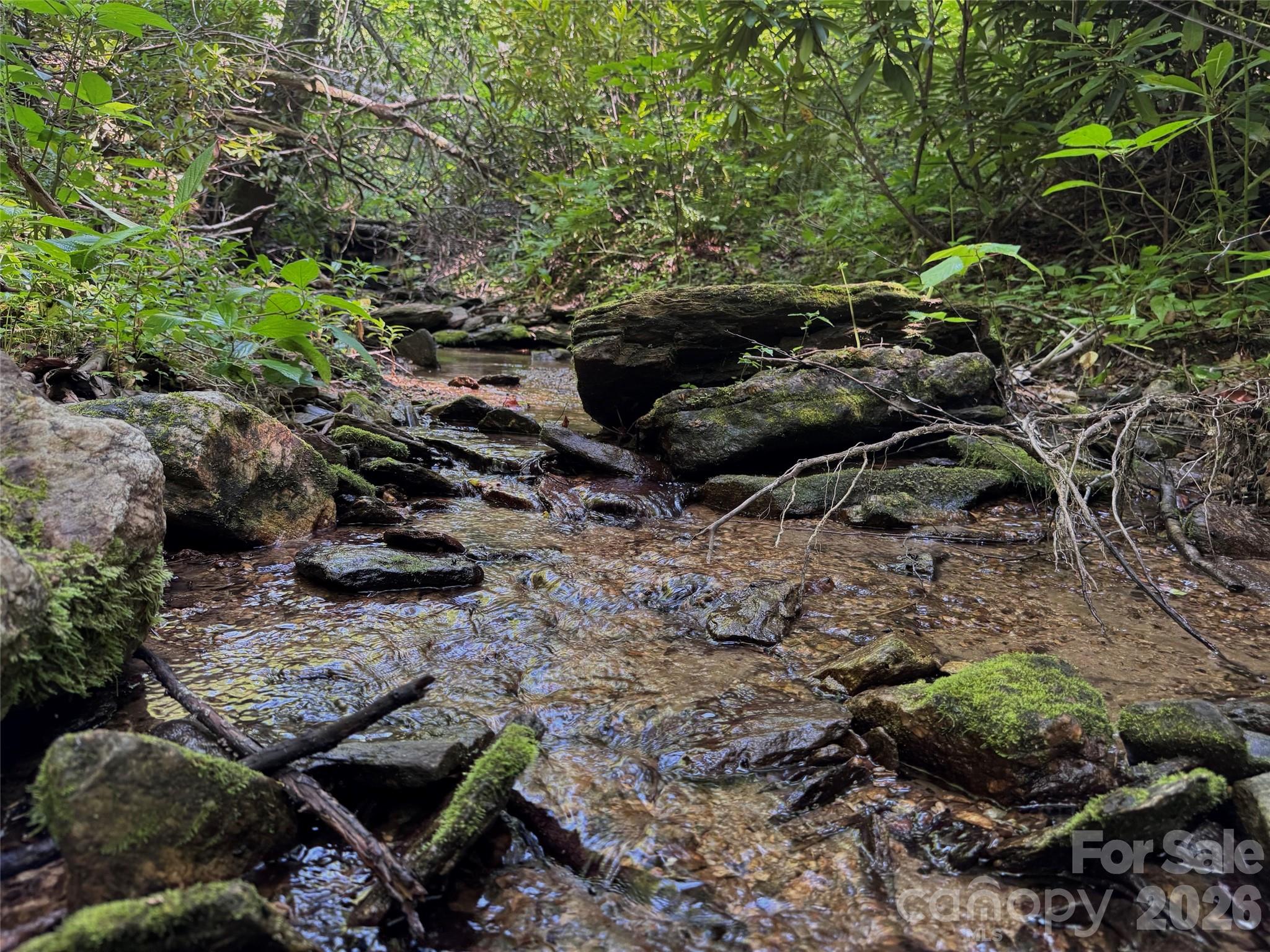 Forest Brook - Land