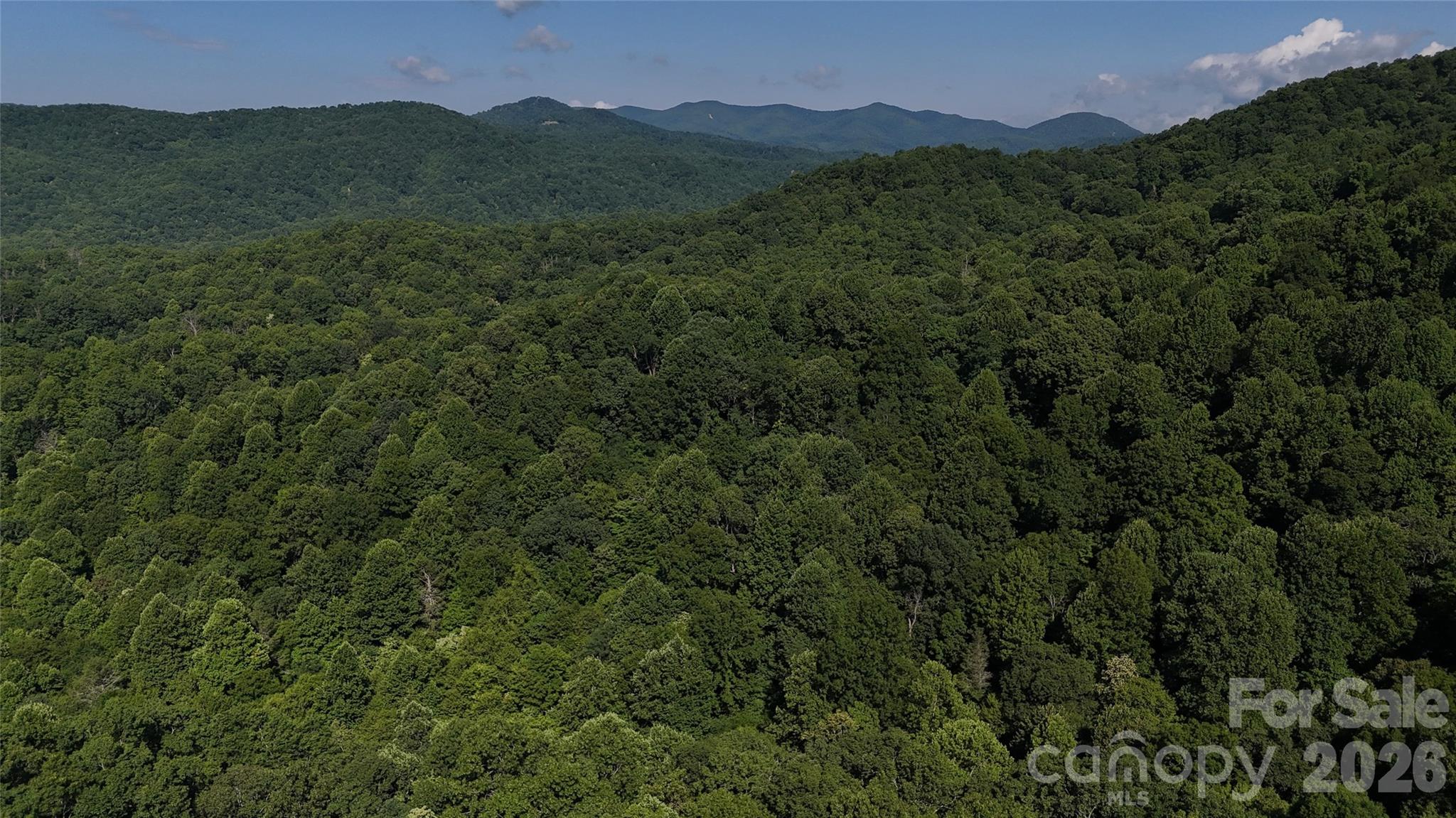 Forest Brook - Land