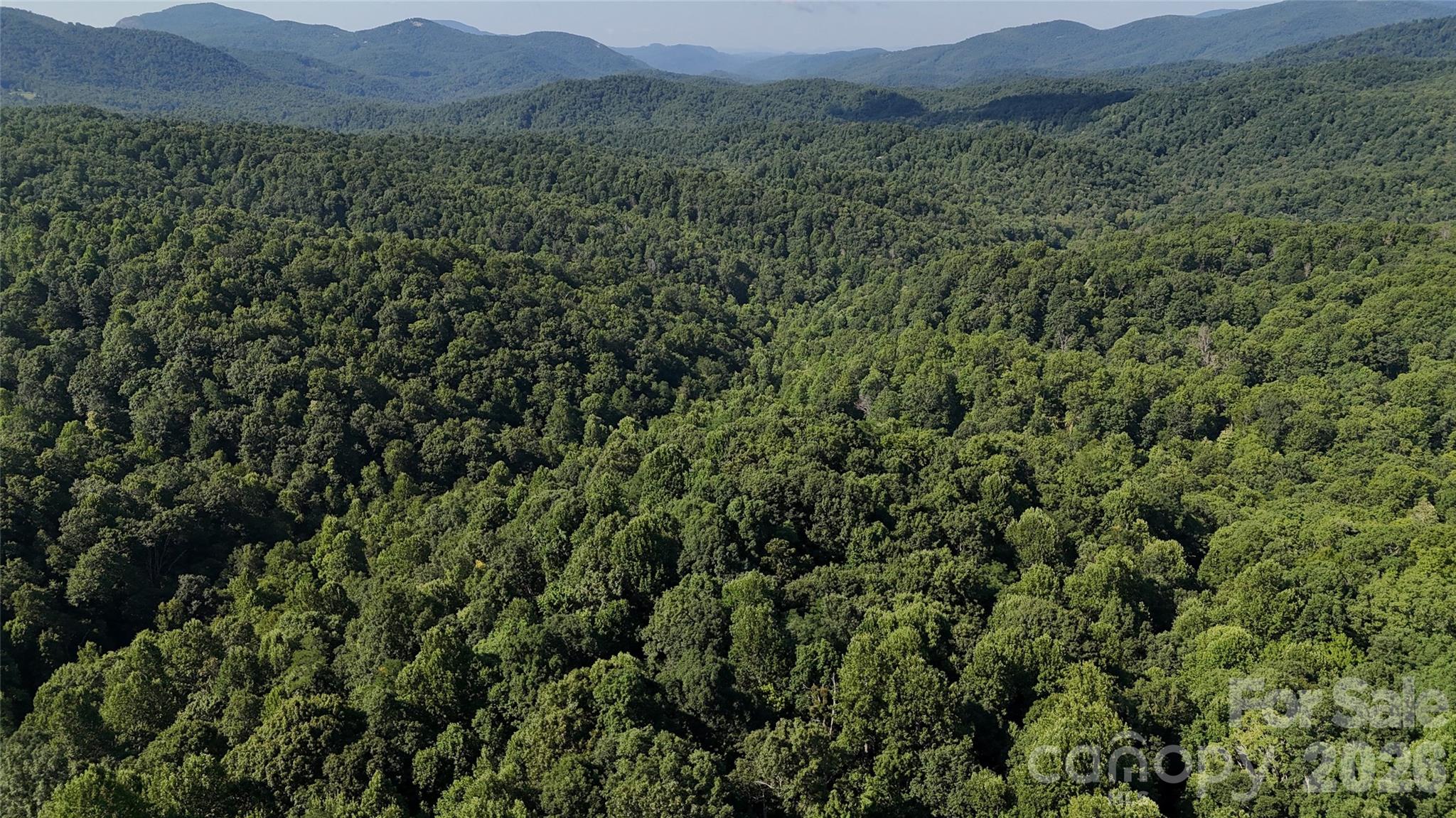 Forest Brook - Land
