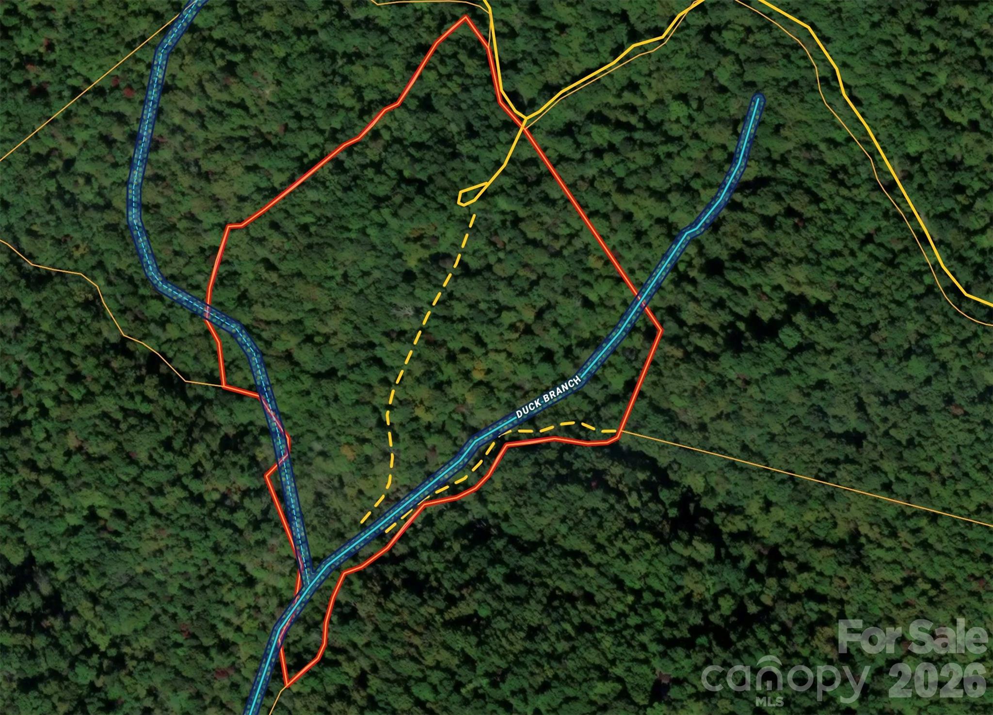 Forest Brook - Land