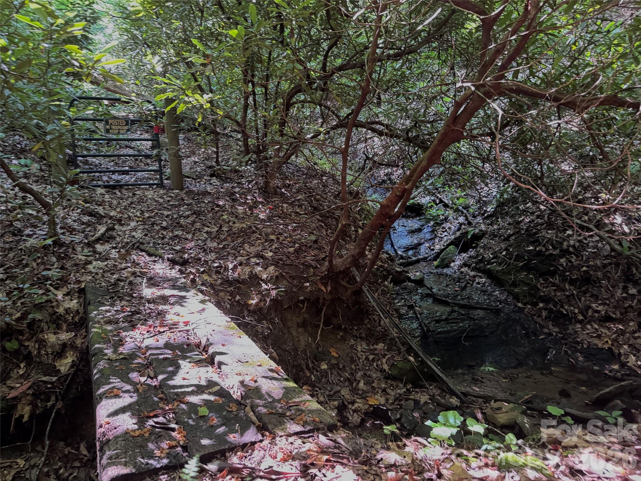 Forest Brook - Land
