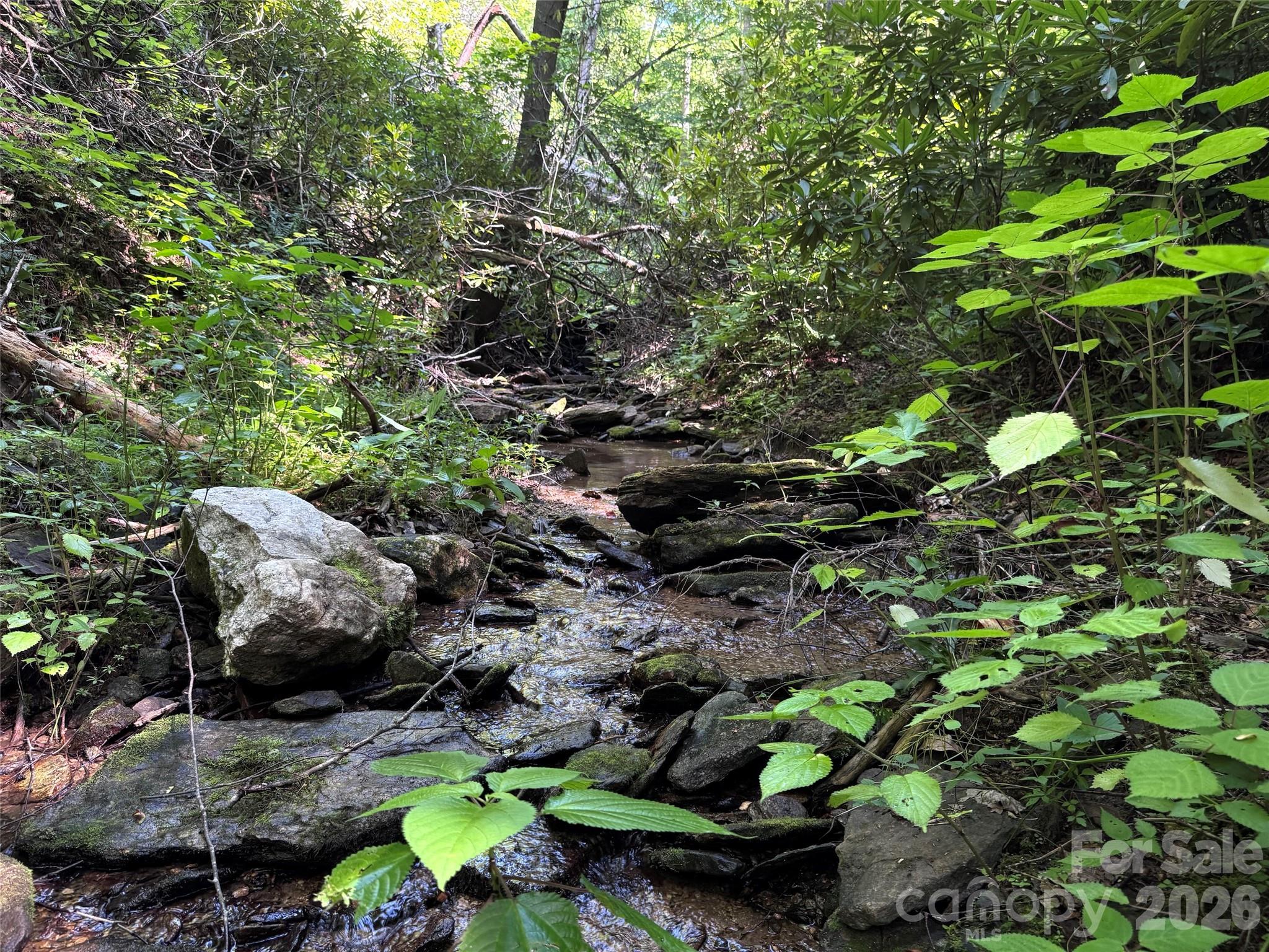 Forest Brook - Land