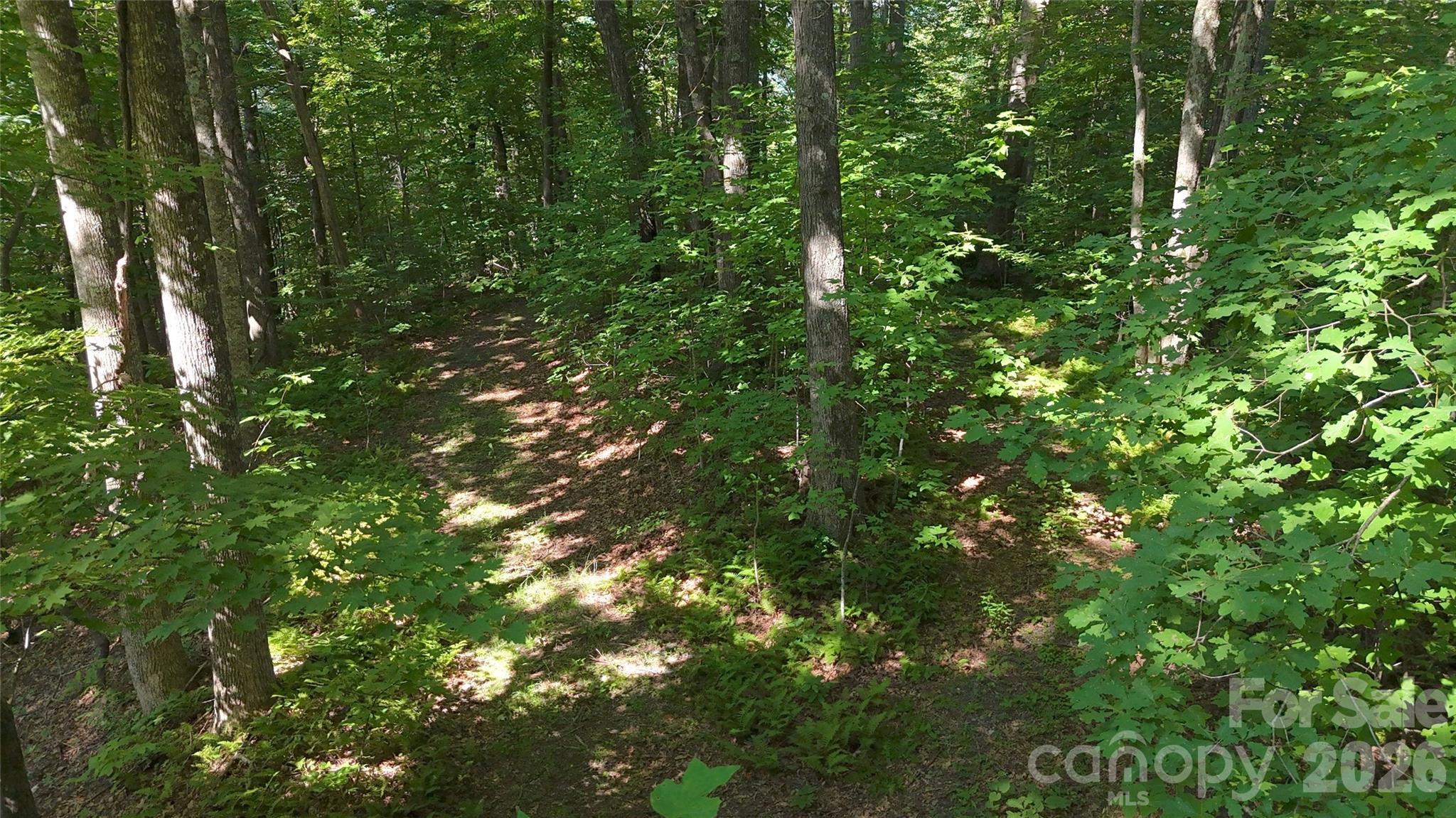 Forest Brook - Land